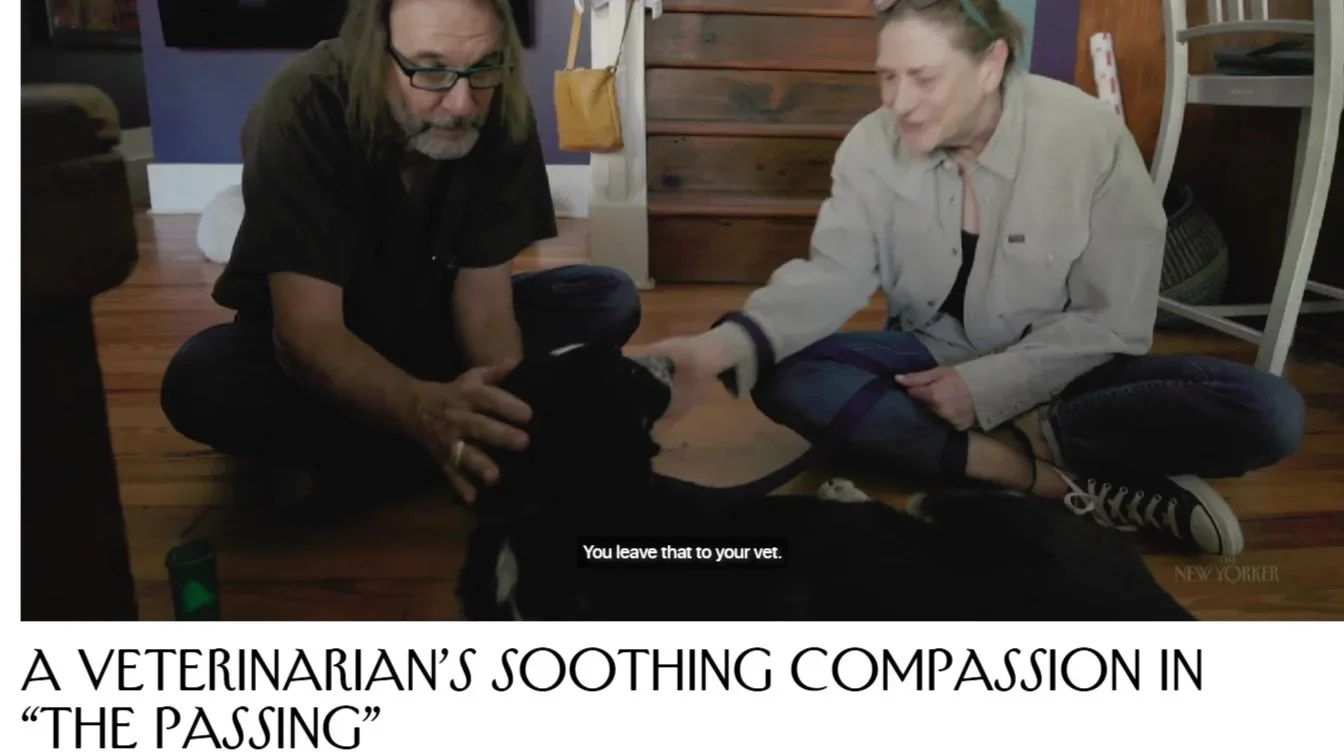 SDC Veterinarian Highlighted in Documentary, “The Passing”