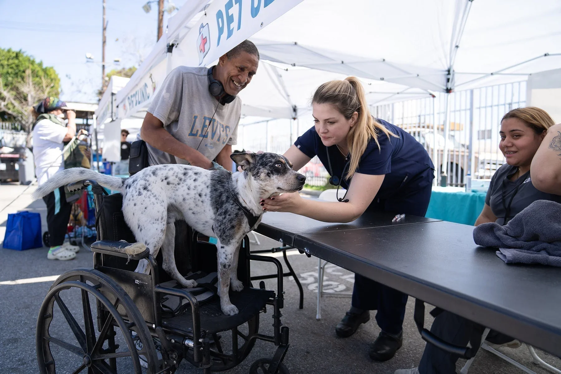 4Knines features The Street Dog Coalition