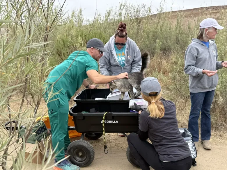 Local volunteers organize mobile vaccine clinic for unhoused pet families inside Santa Maria riverbed