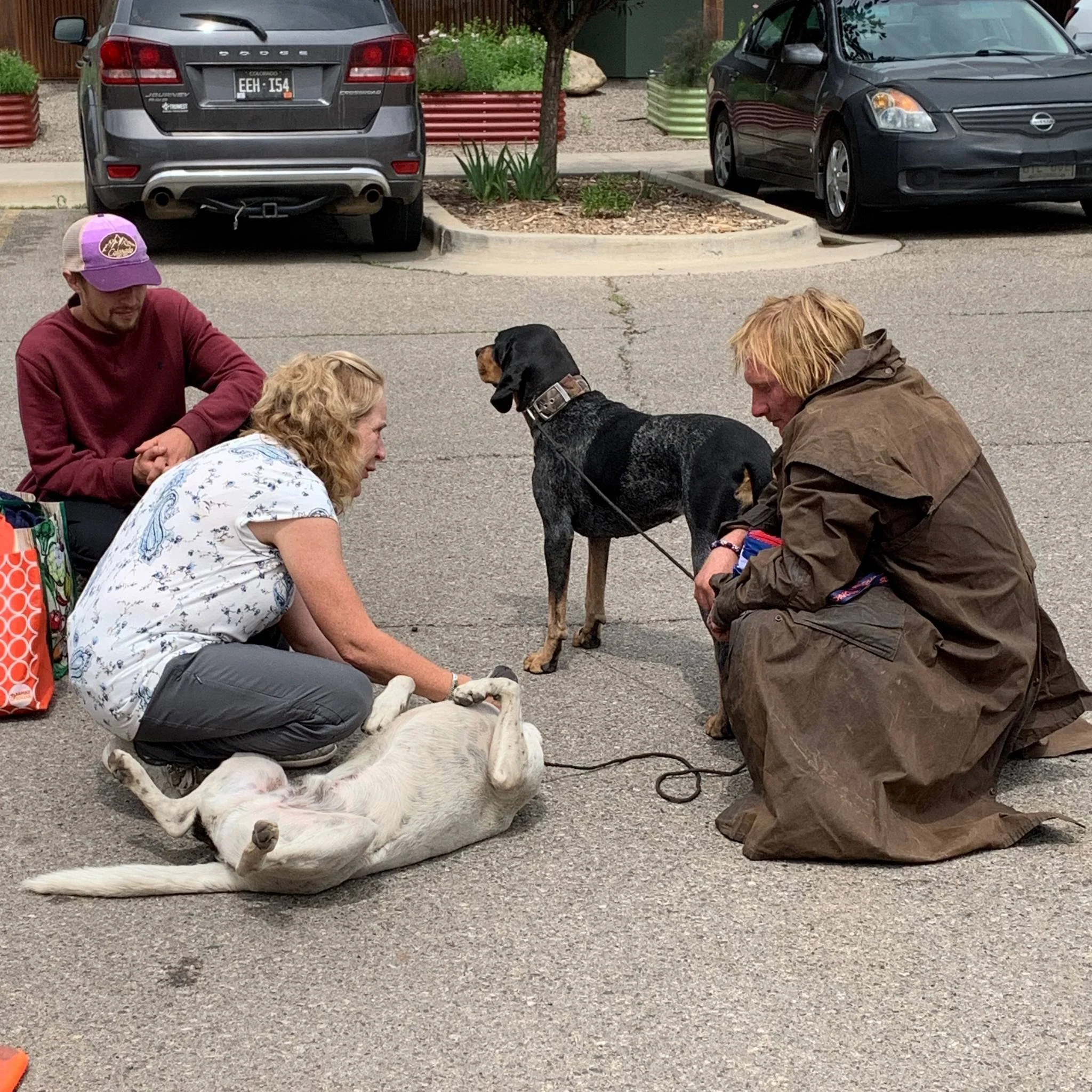 The Street Dog Coalition helps Durango Seniors