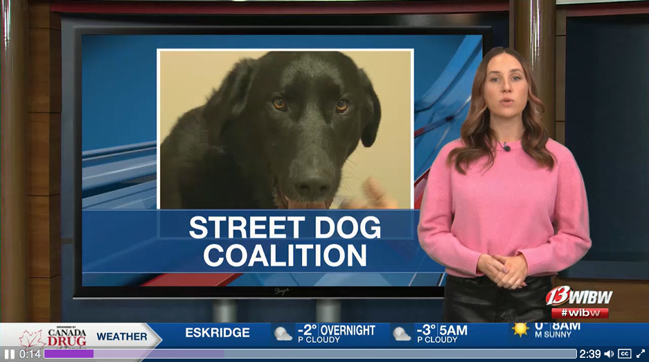 SDC Topeka ensures homeless individuals aren’t forced to choose between their pets and their safety