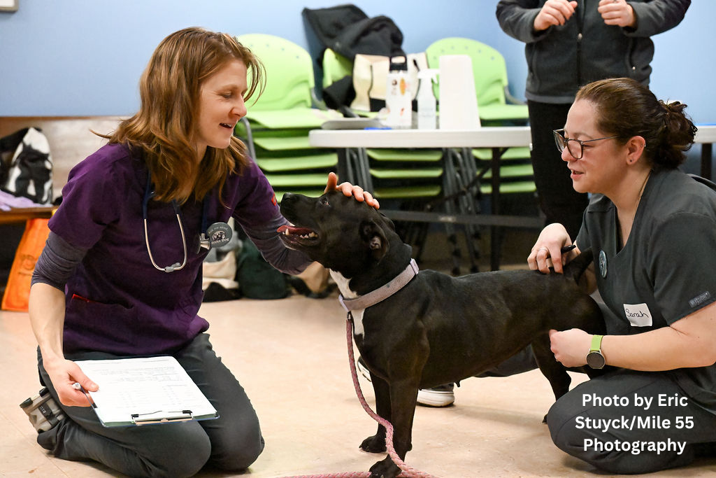 Photo by Eric StuyckMile 55 Photography (1).png