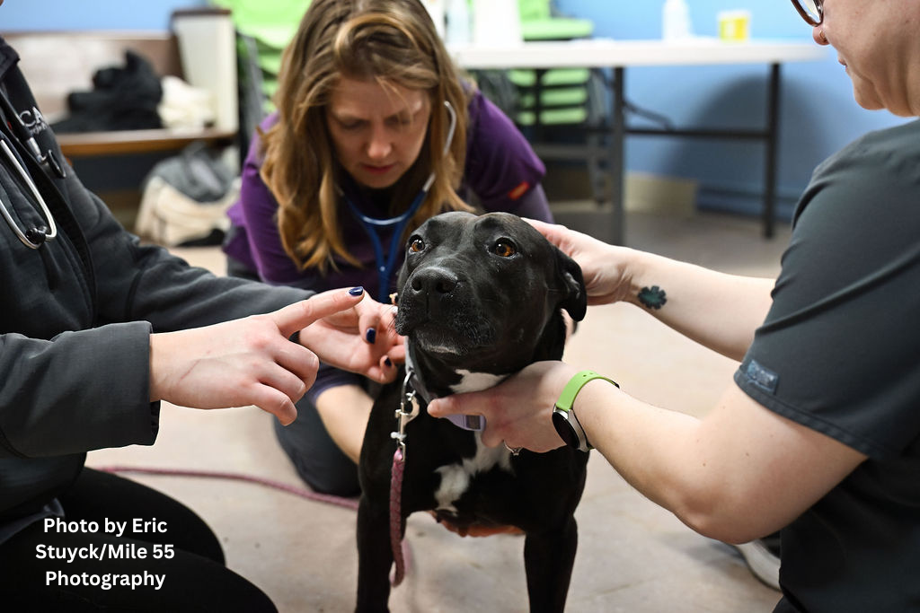 Photo by Eric StuyckMile 55 Photography (2).png