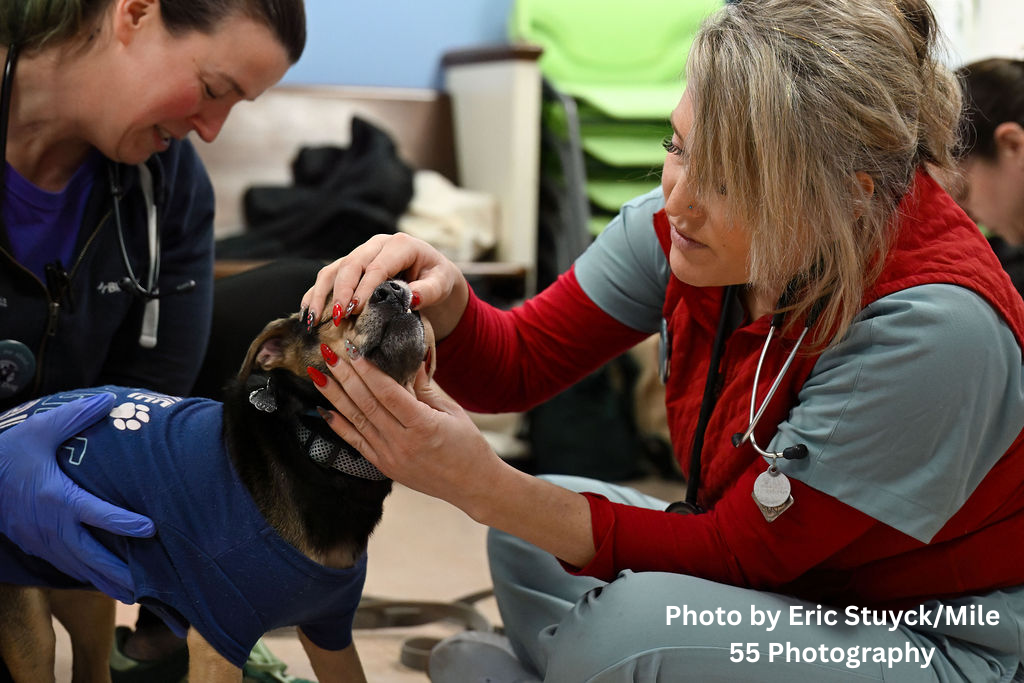 Photo by Eric StuyckMile 55 Photography (4).png