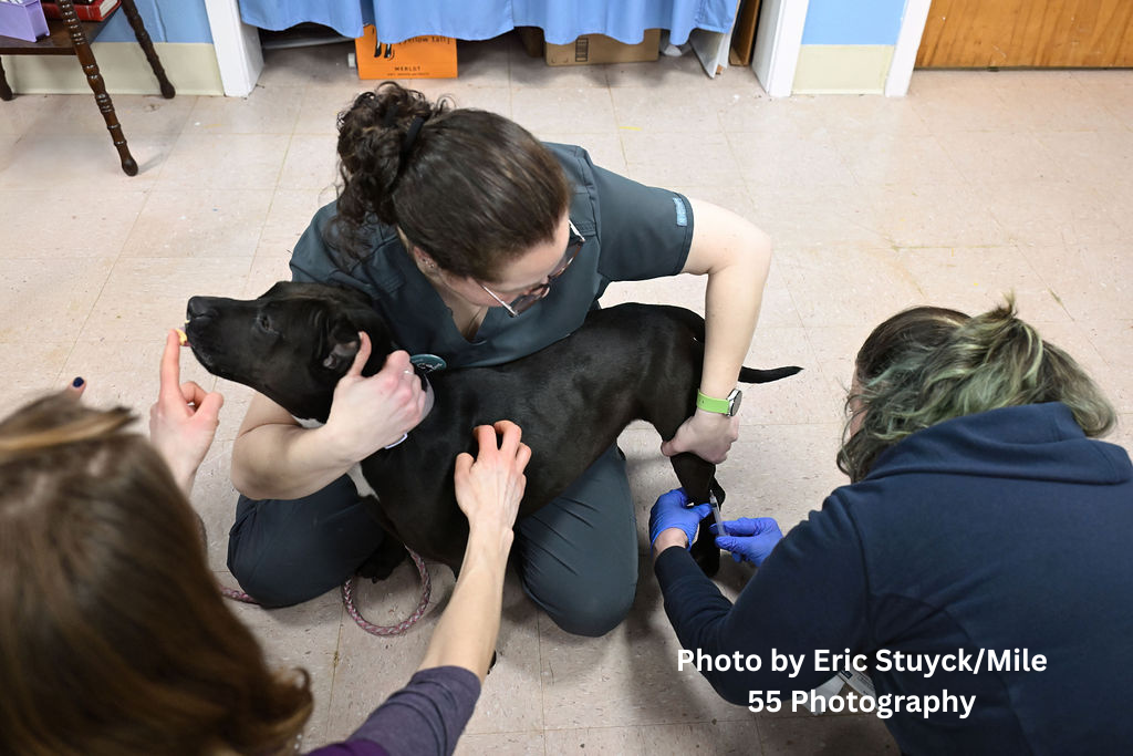 Photo by Eric StuyckMile 55 Photography.png