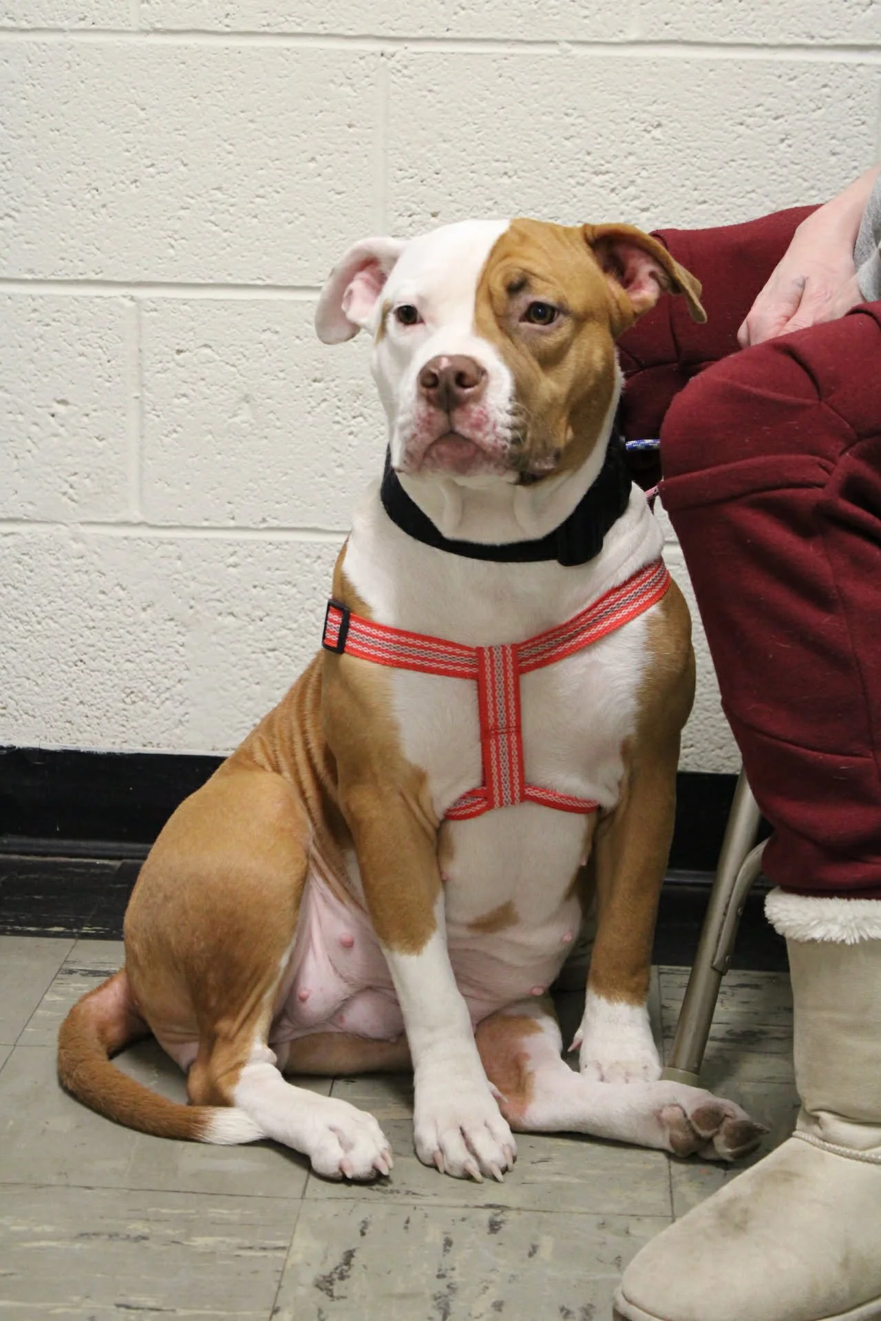 8caed9a6-89ed-4a78-83f8-2b3d63bbcc23 (1).jpg