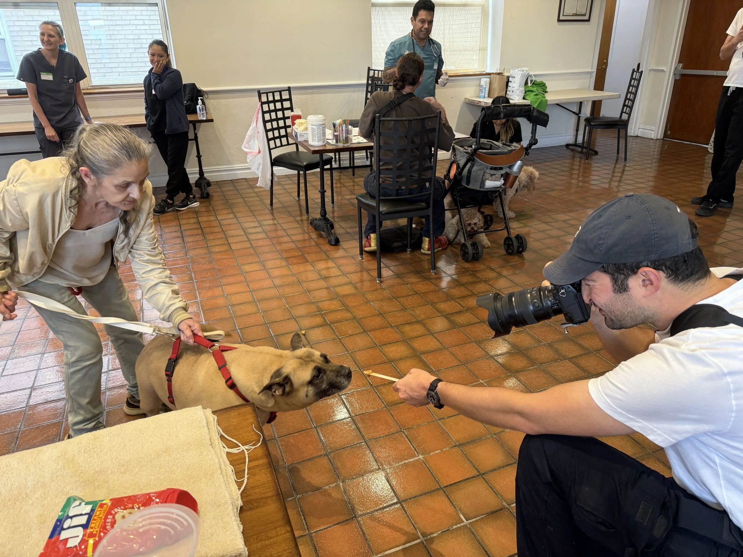 SDC Named a recipient of The Dogist Fund