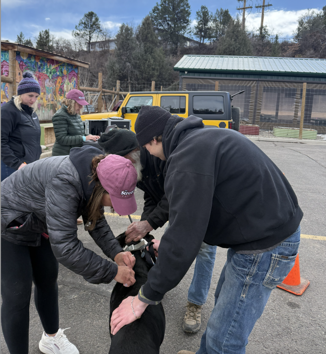 Screenshot 2026-03-10 at 7.46.54 AM.png