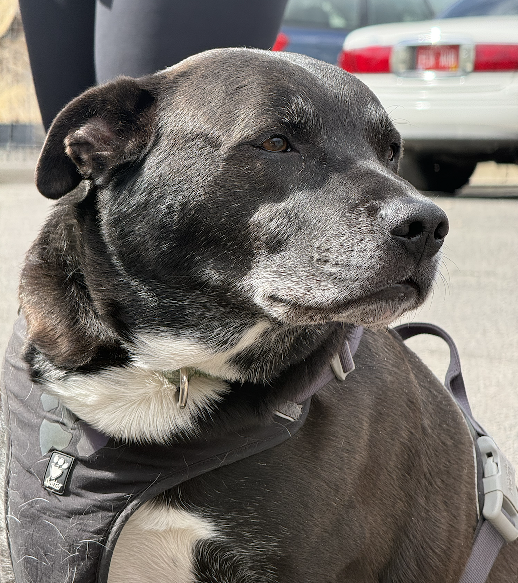 Screenshot 2026-03-10 at 7.46.26 AM.png