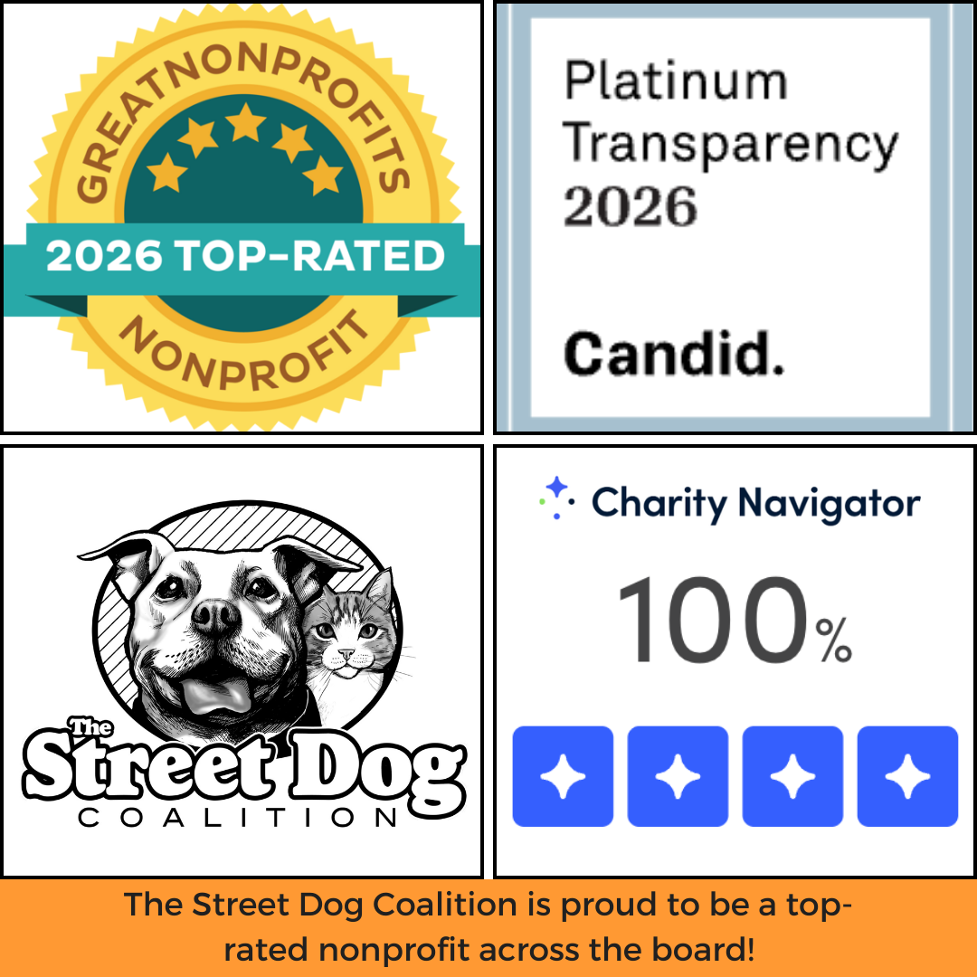 The Street Dog Coalition is named top-nonprofit across the board