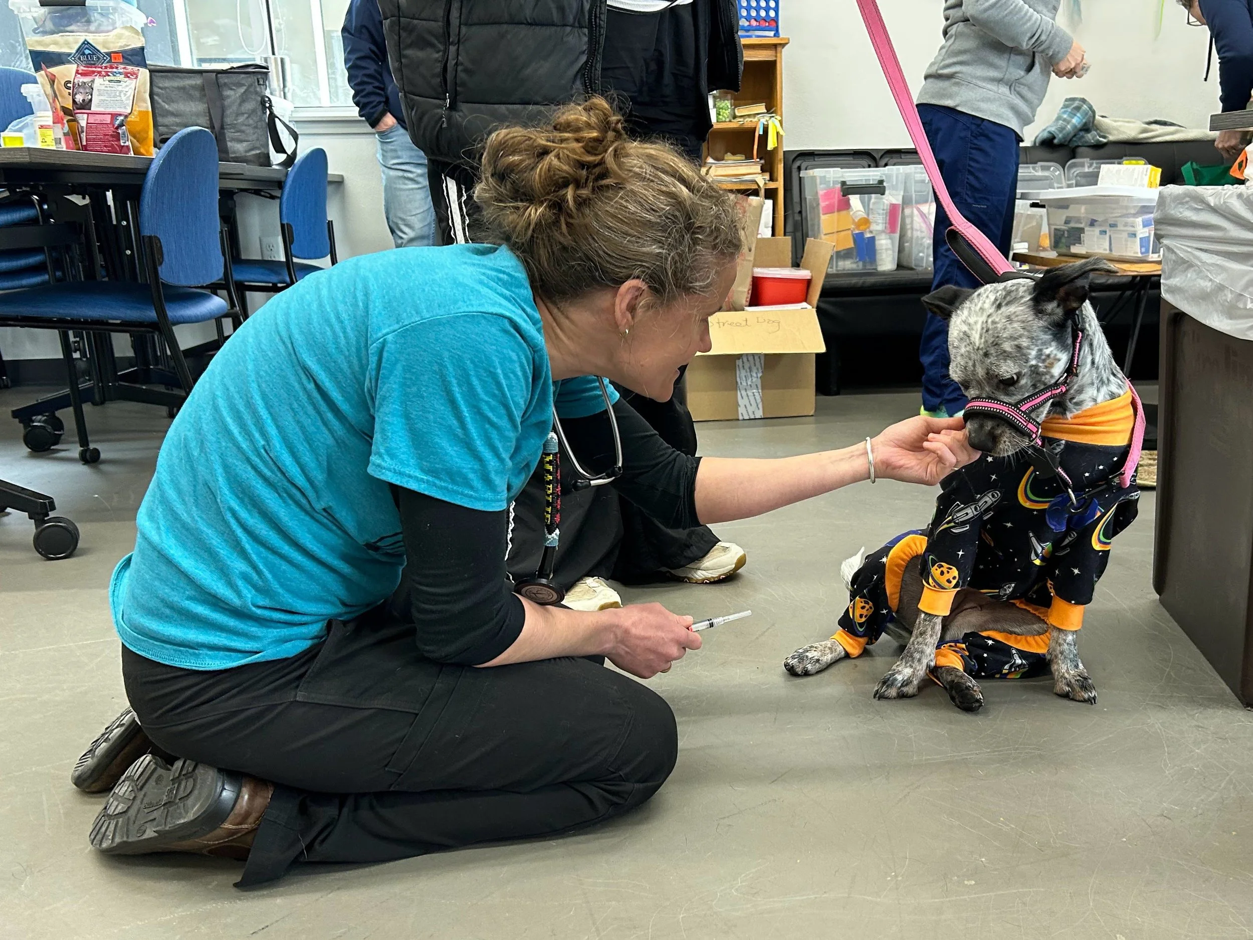 Free Missoula vet clinic provides ‘irreplaceable’ care for homeless pet owners&nbsp;