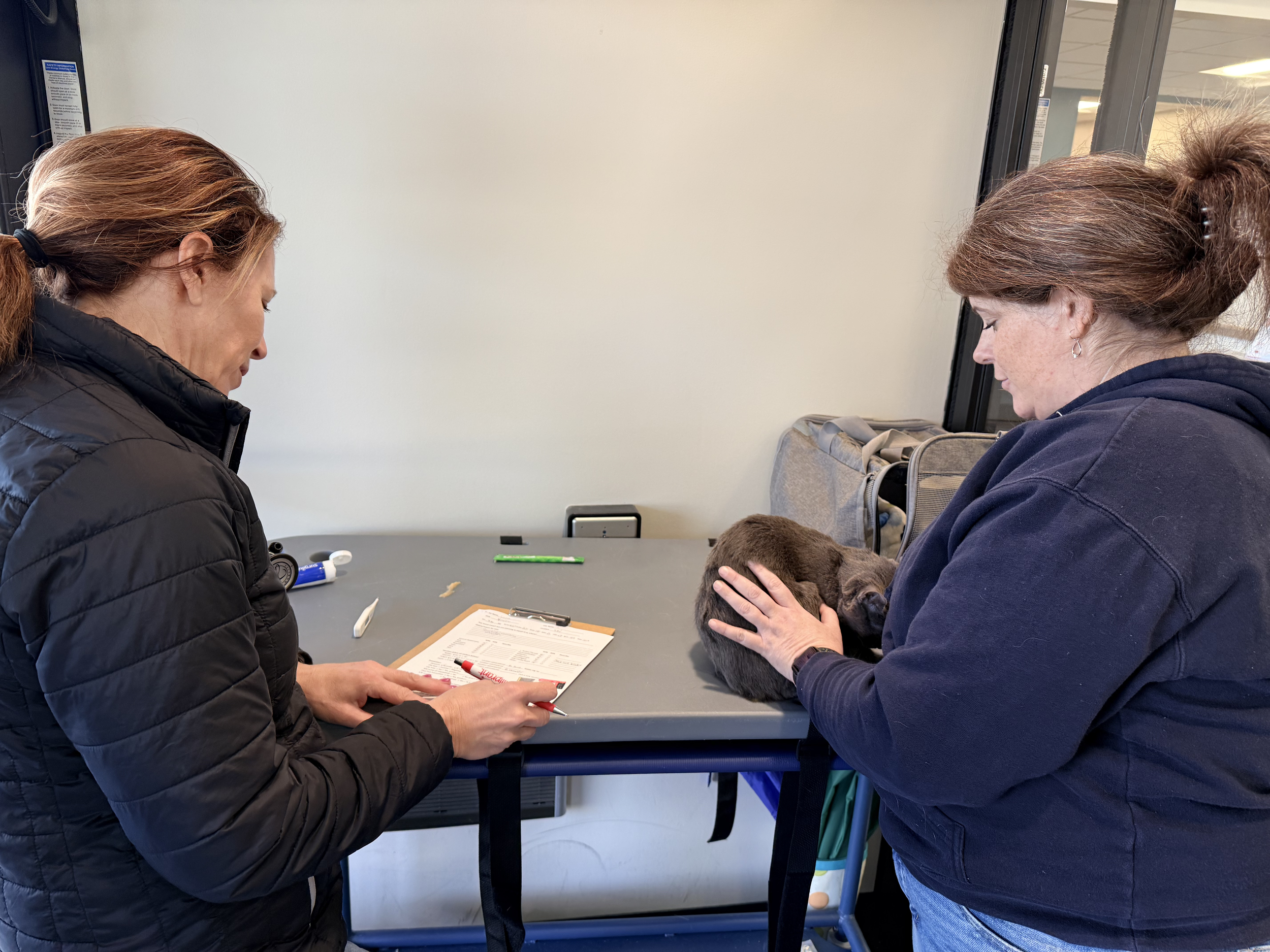 Untitled design (4).png