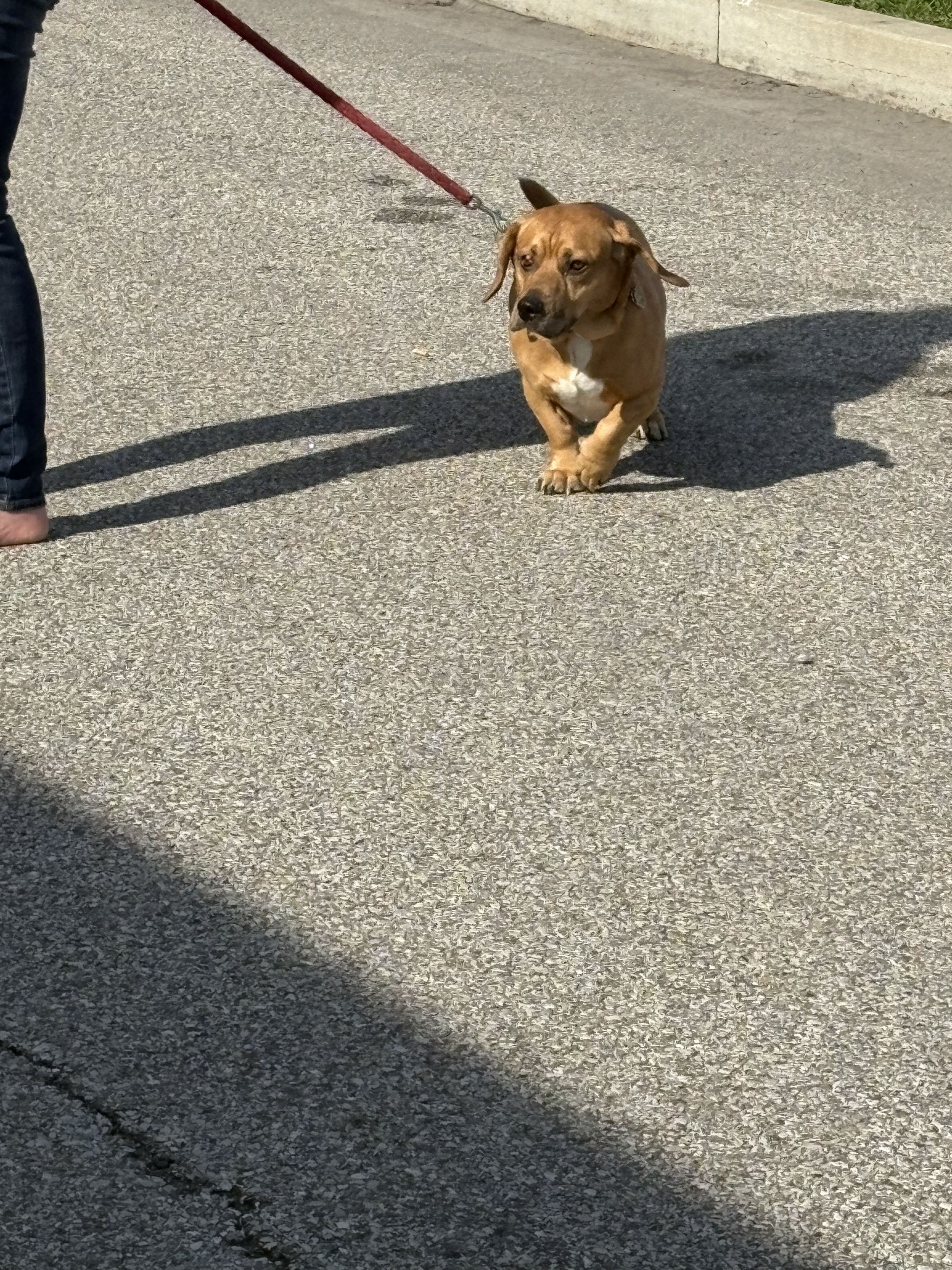 Untitled design (11).png