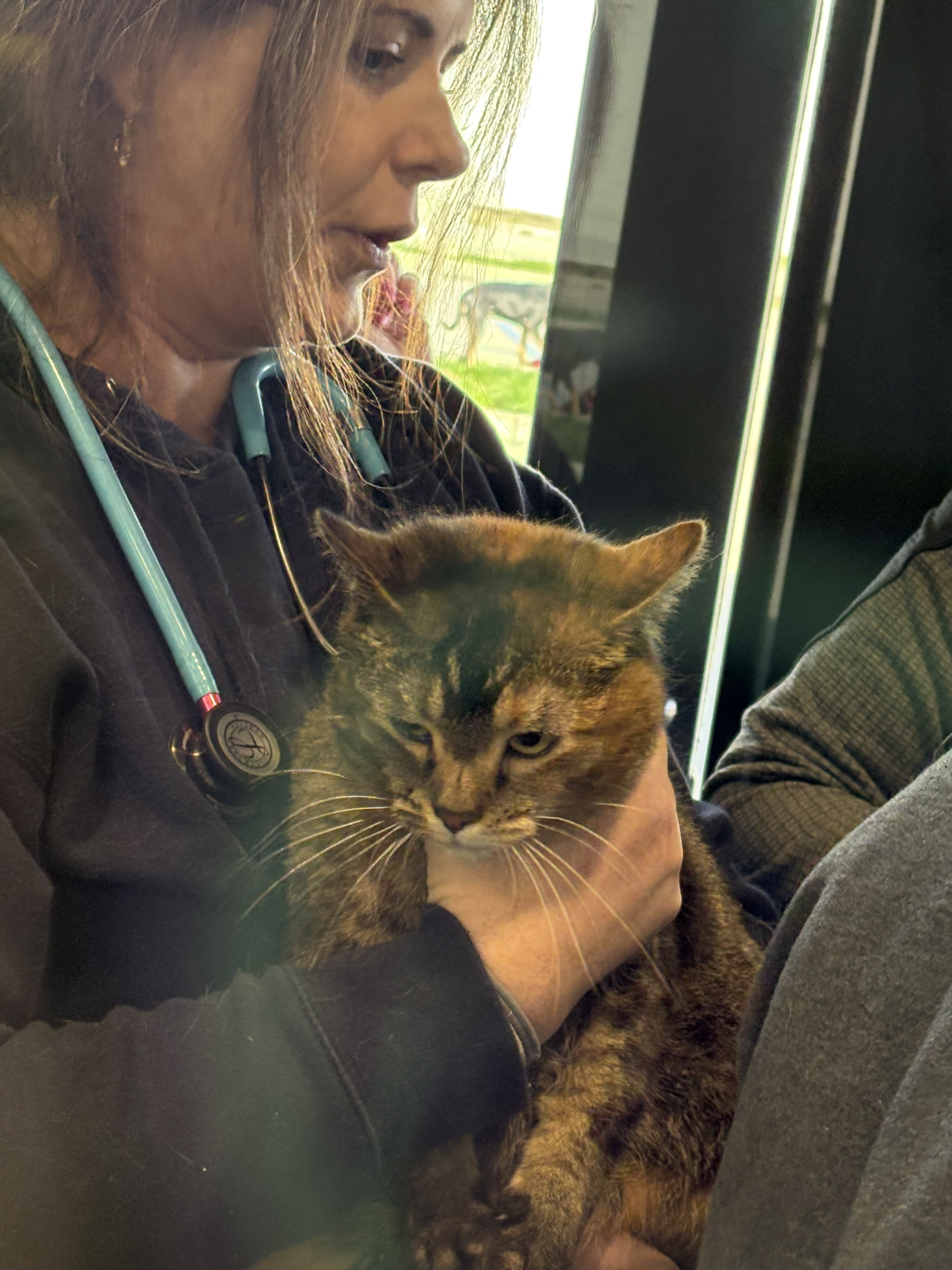 Untitled design (40).png