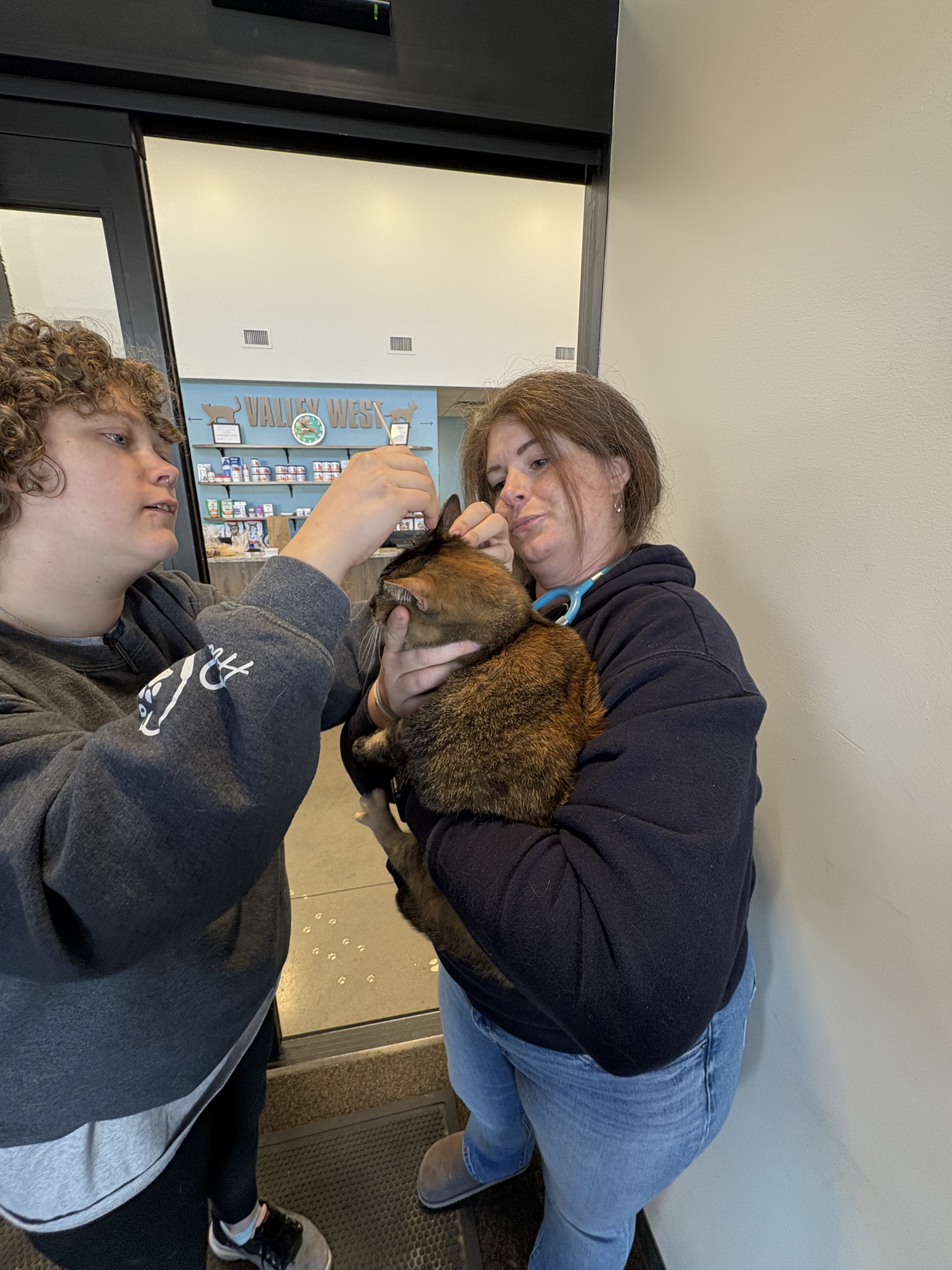 Untitled design (41).png