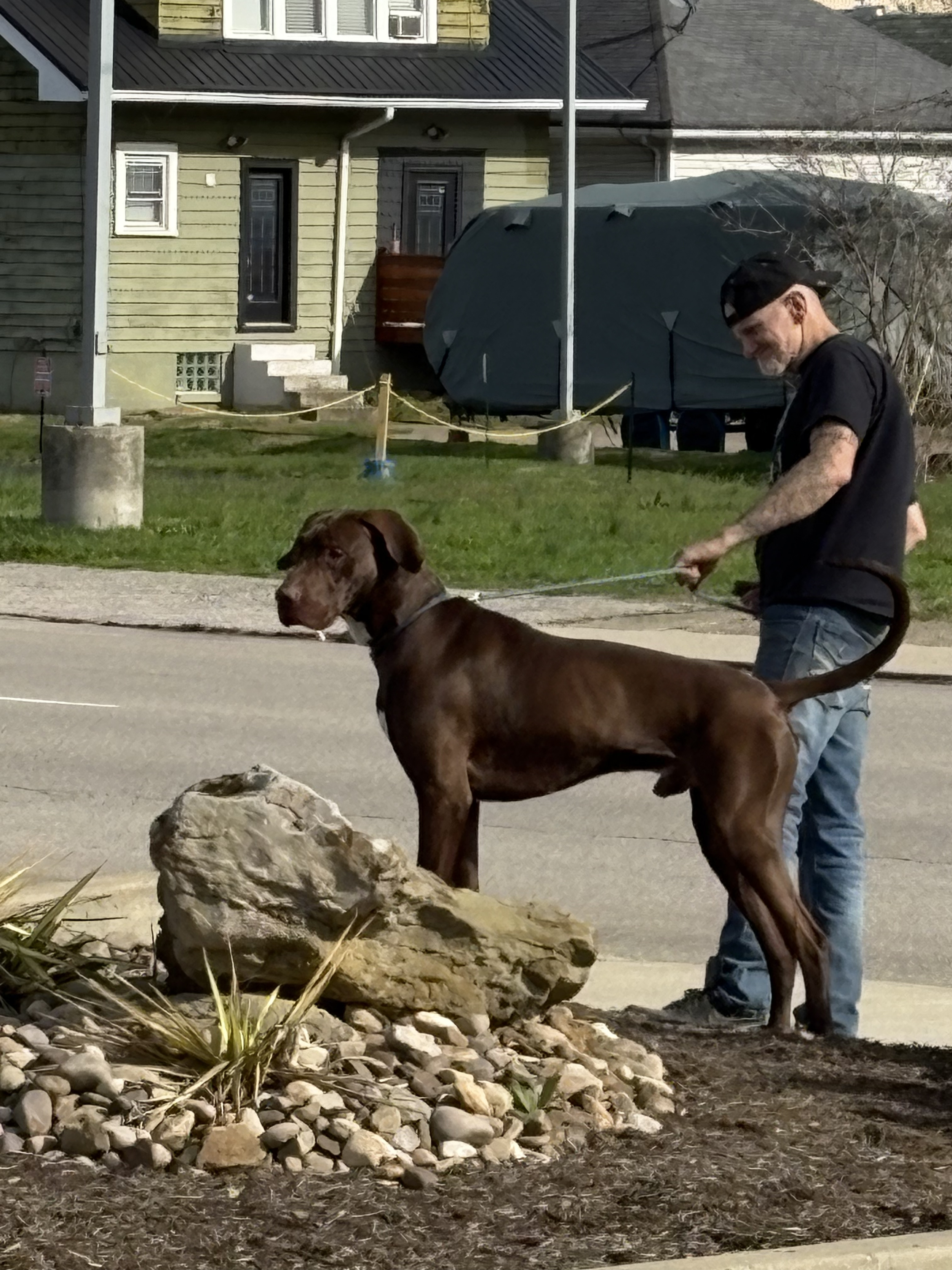 Untitled design (42).png