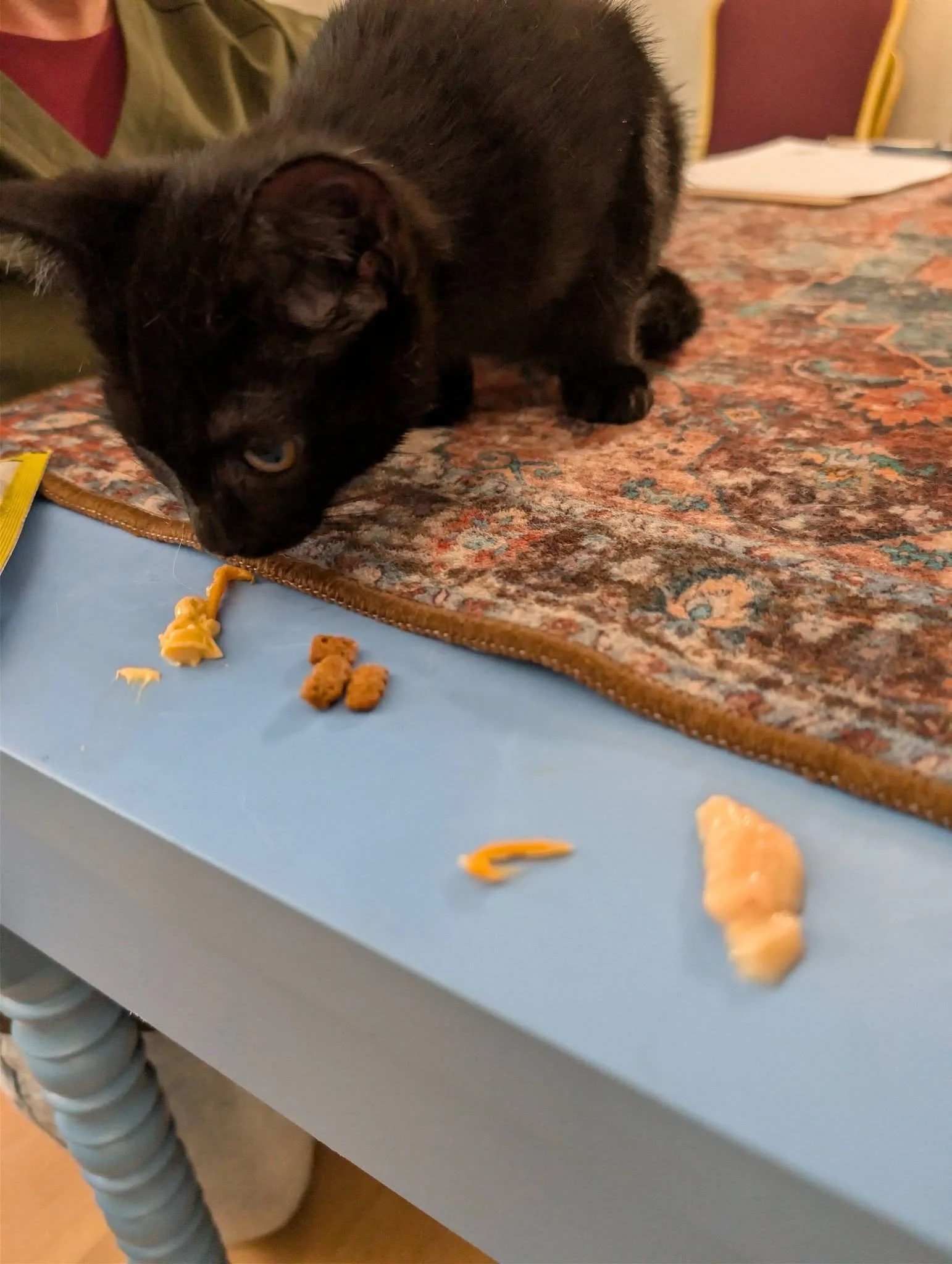 snack tester.jpg