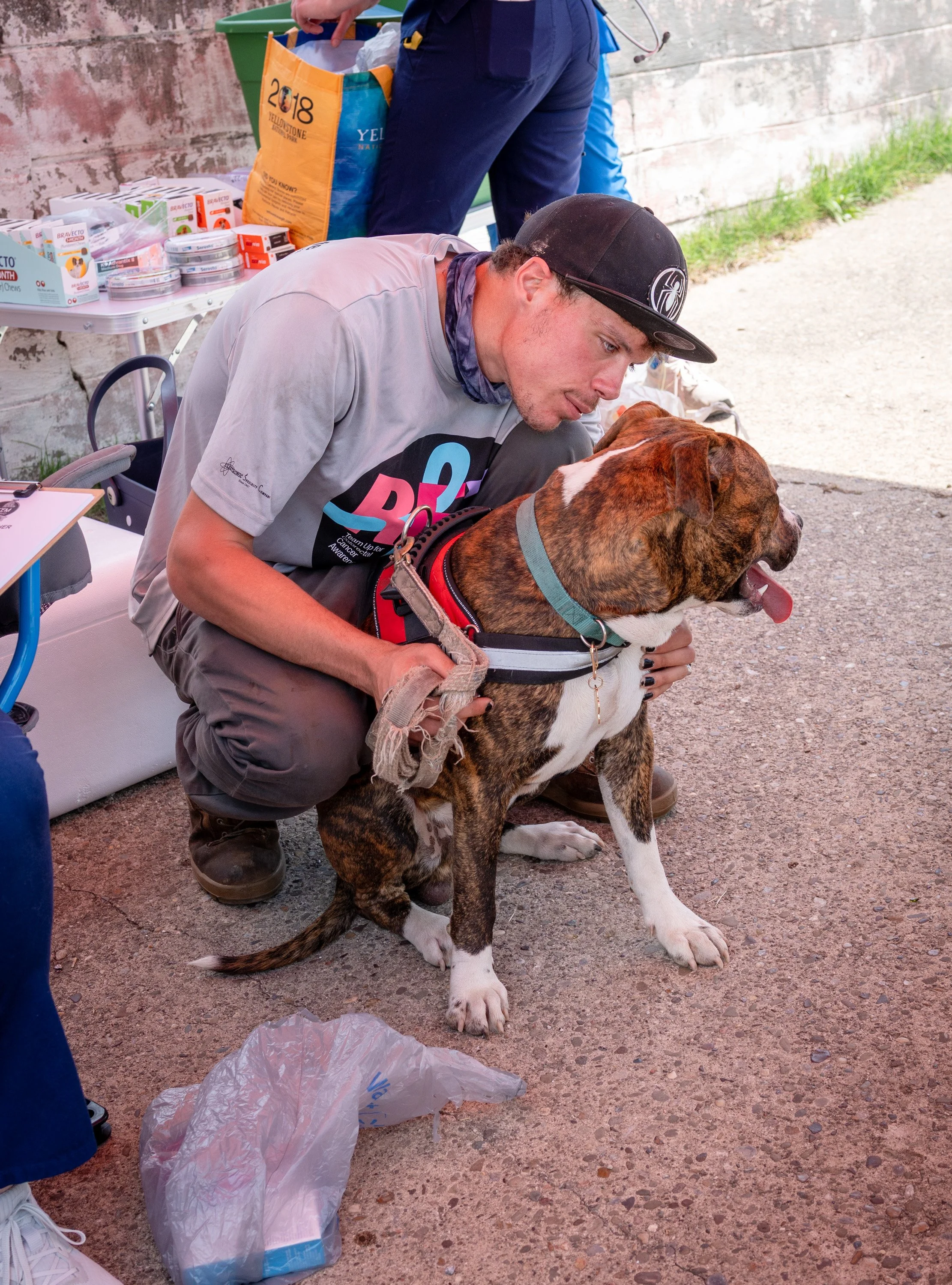 20260519StreetDog_035p.jpg