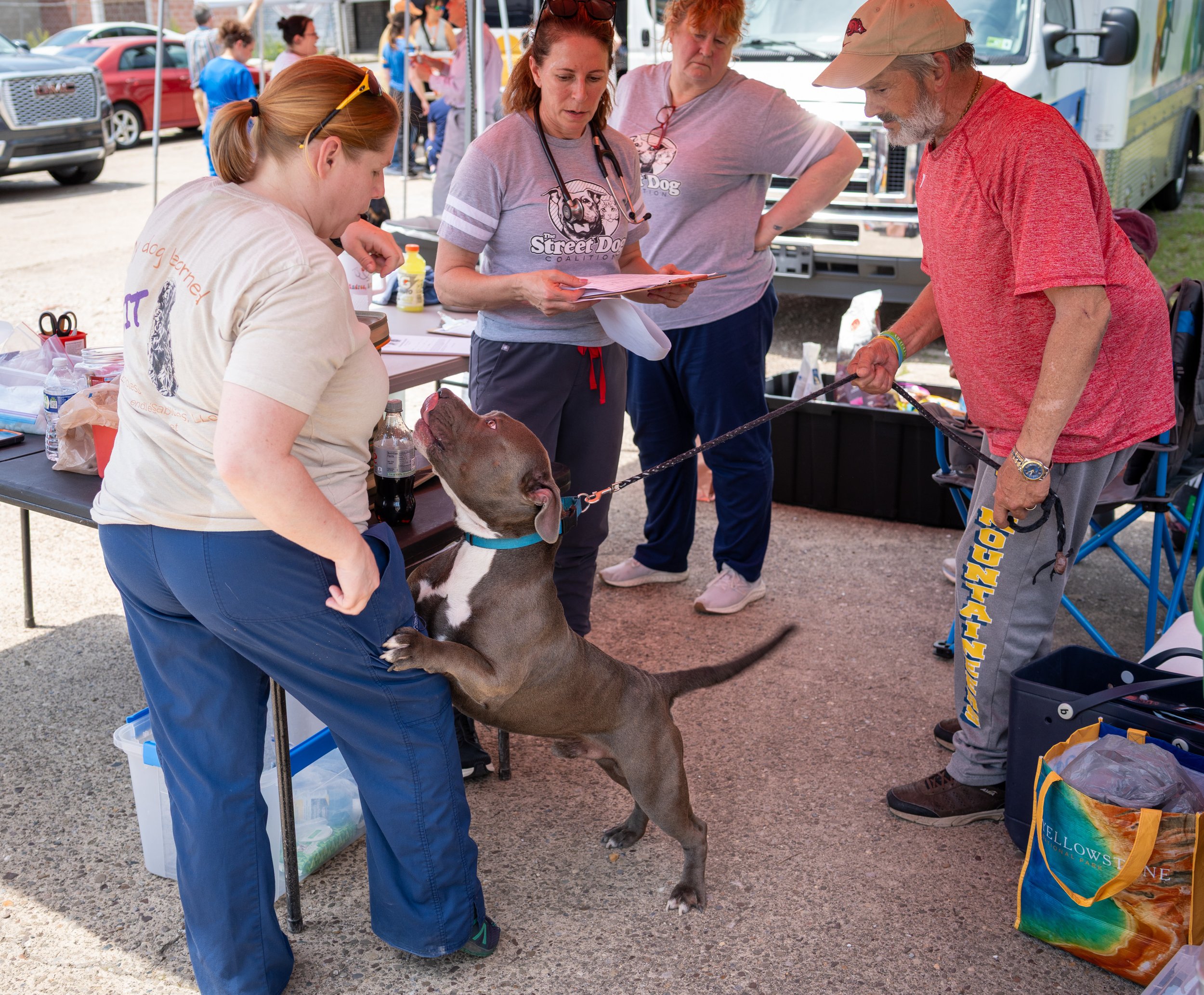 20260519StreetDog_050p.jpg