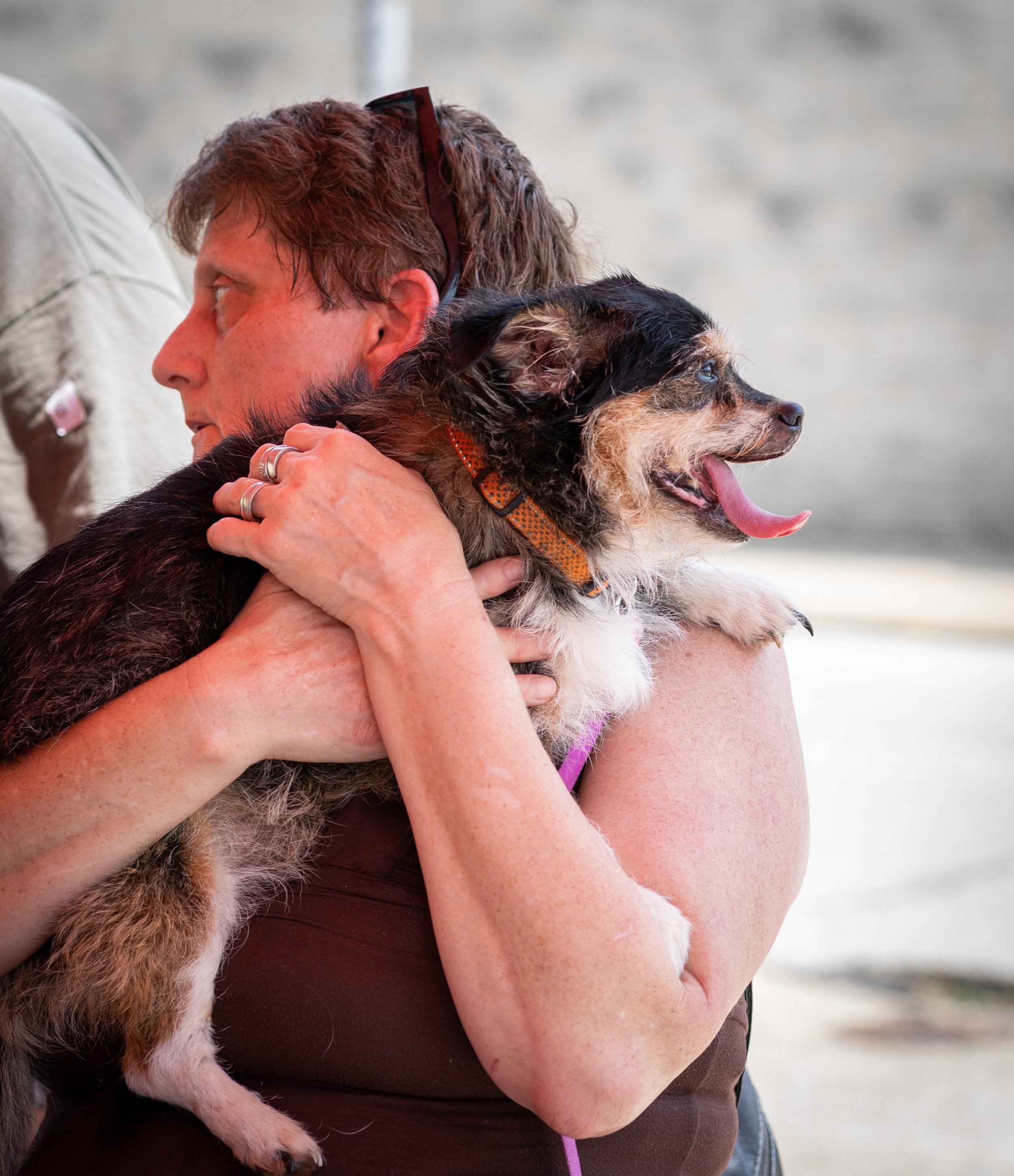 20260519StreetDog_101p.jpg