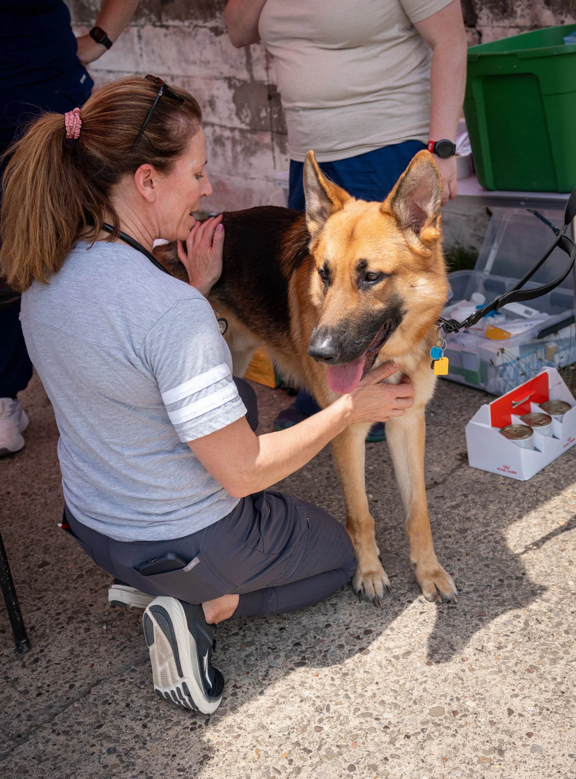 20260519StreetDog_122p.jpg