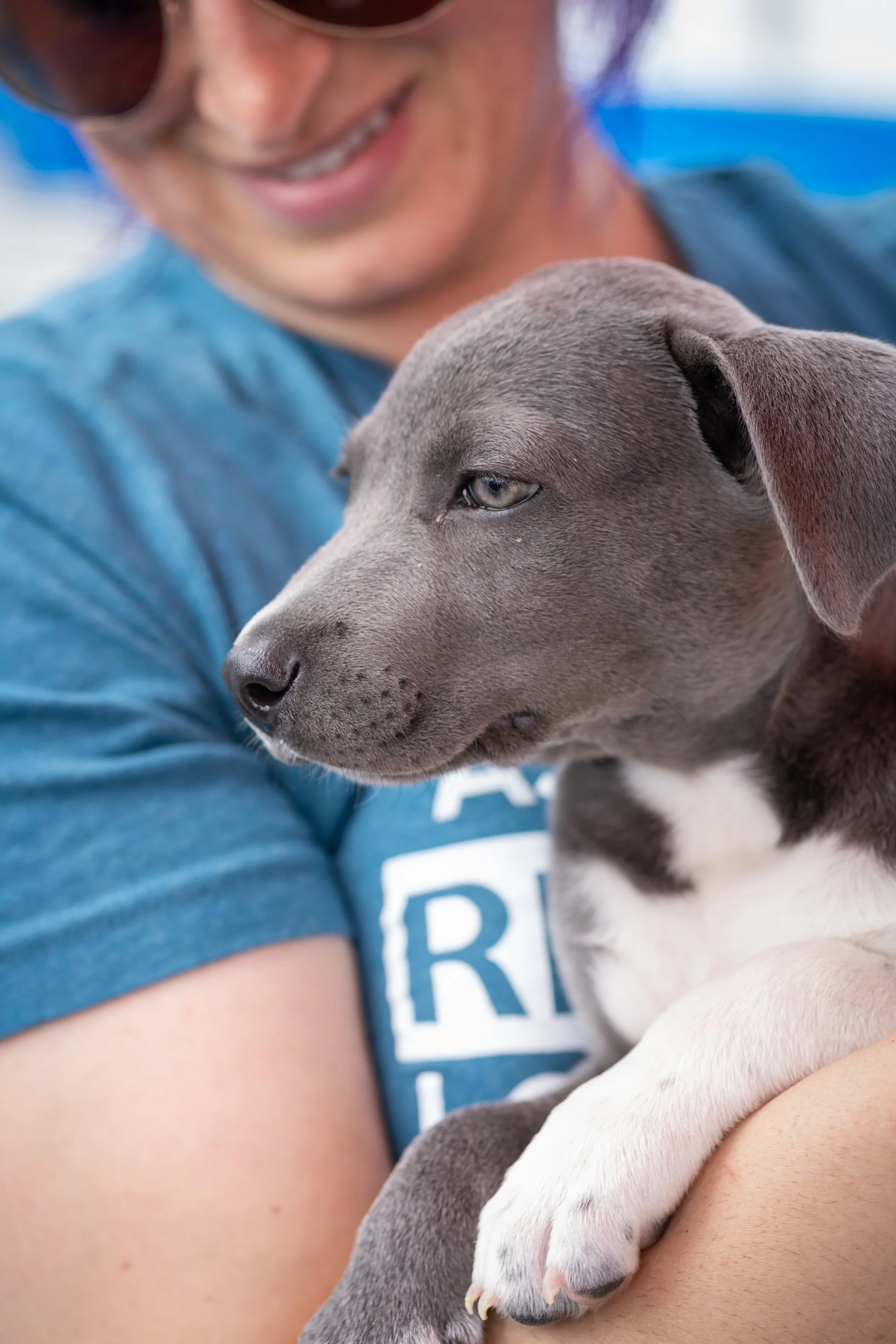20260519StreetDog_163p.jpg