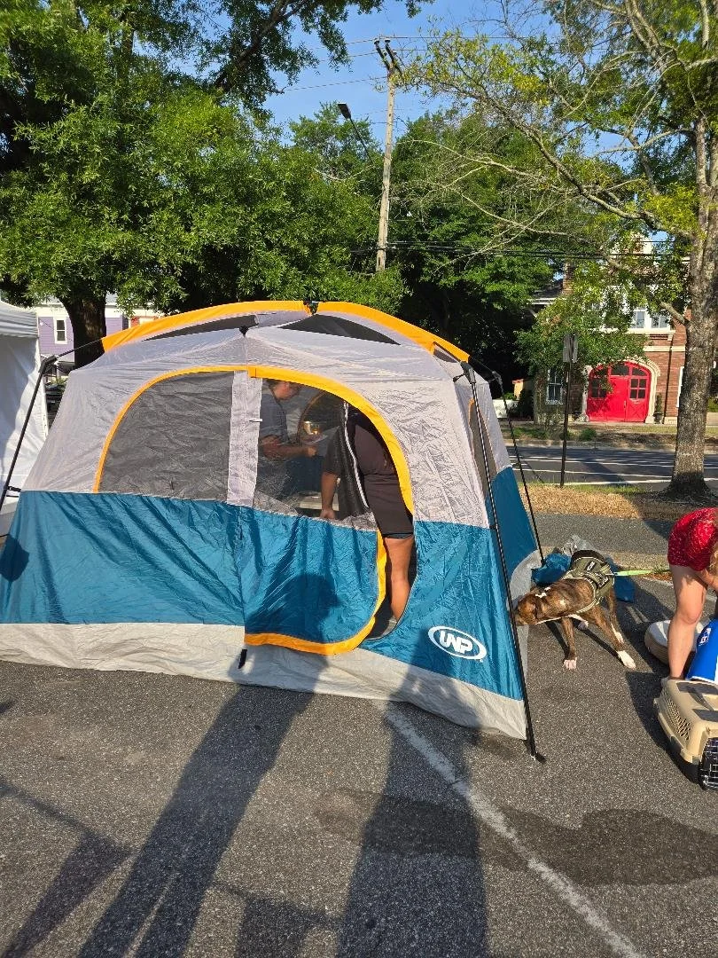 sdc june 11.jpg