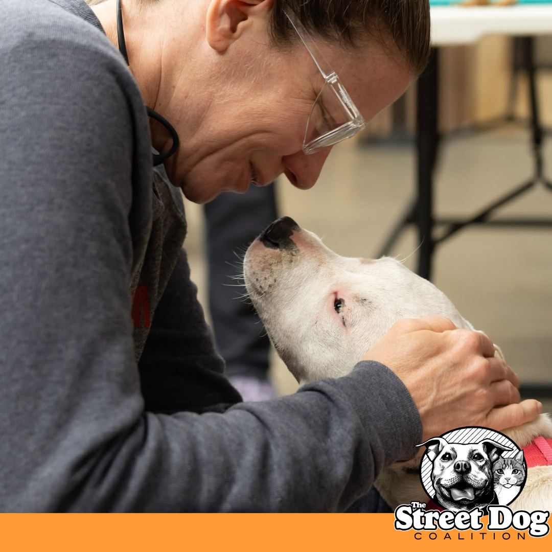 Why I Support The Street Dog Coalition…