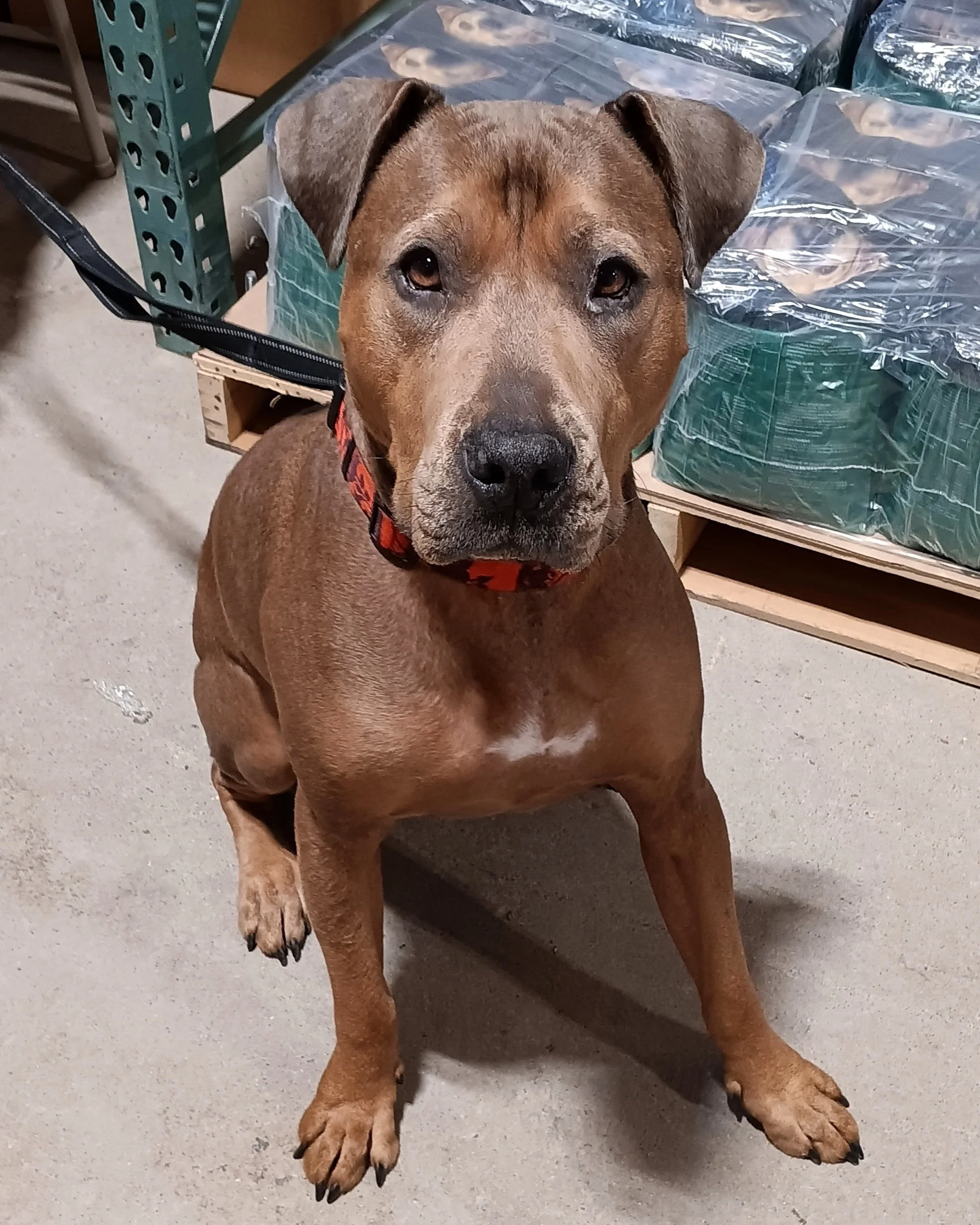1000049941.jpg