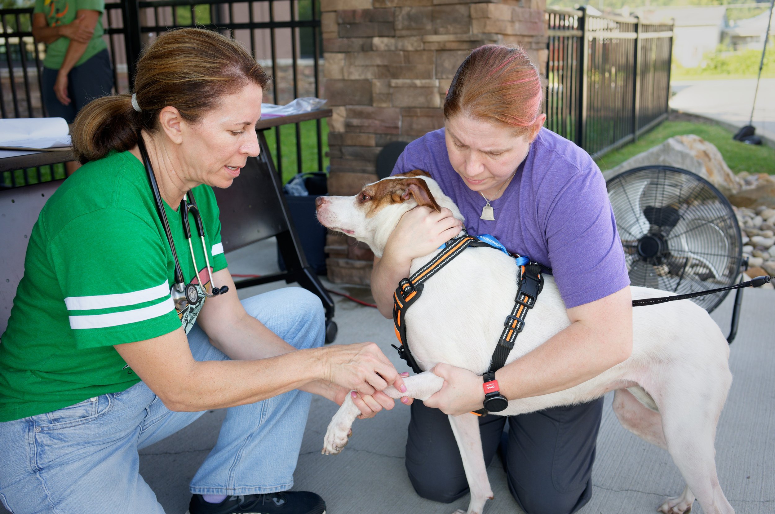 20260822StreetDogClinic_010_DxO.jpg