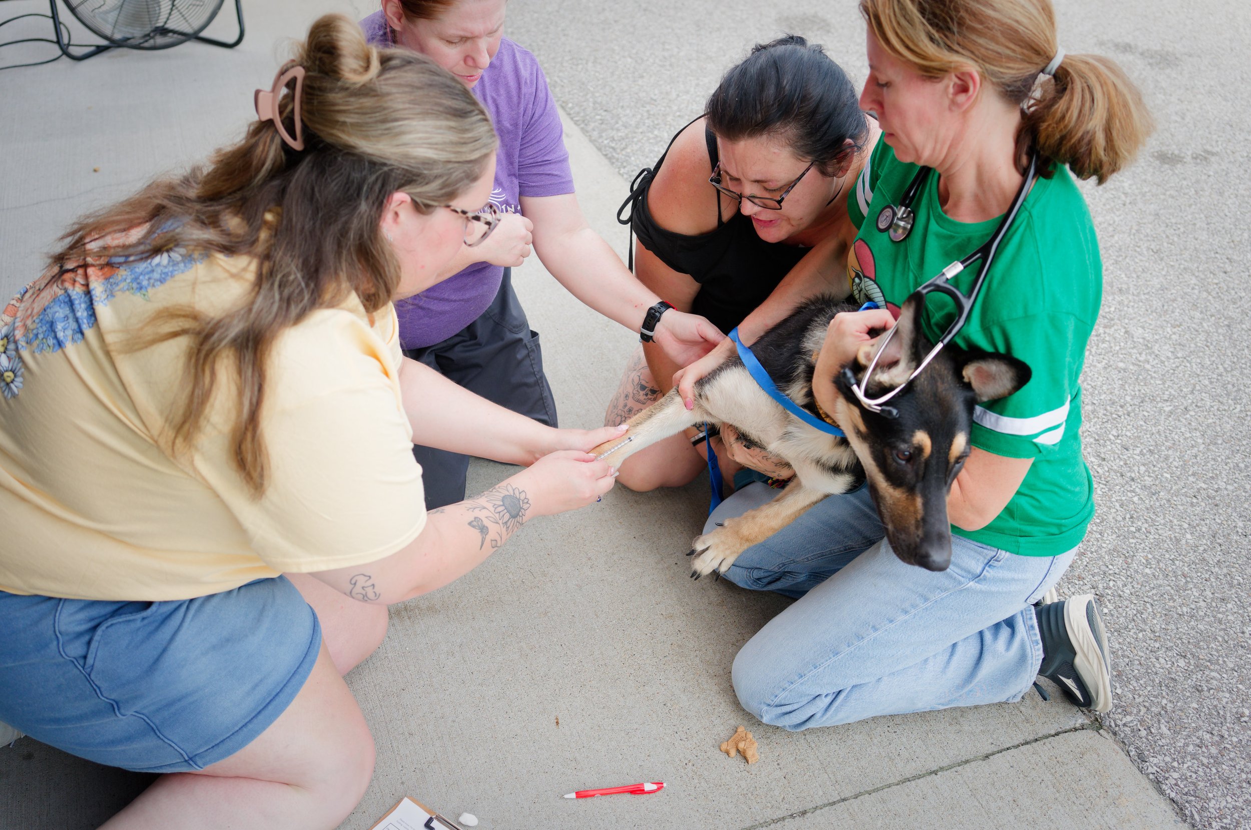 20260822StreetDogClinic_044_DxO.jpg