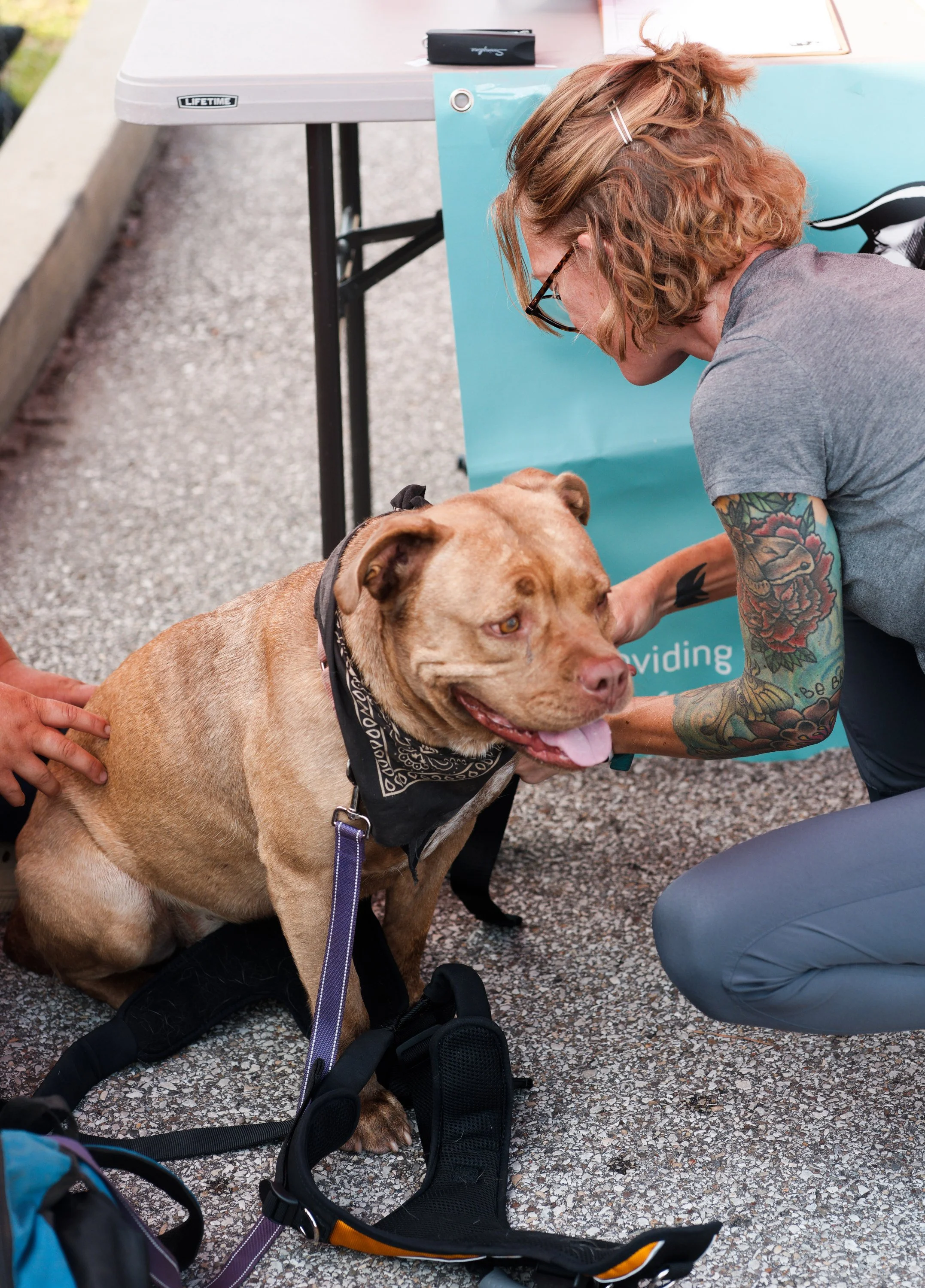 20260822StreetDogClinic_051_DxO.jpg