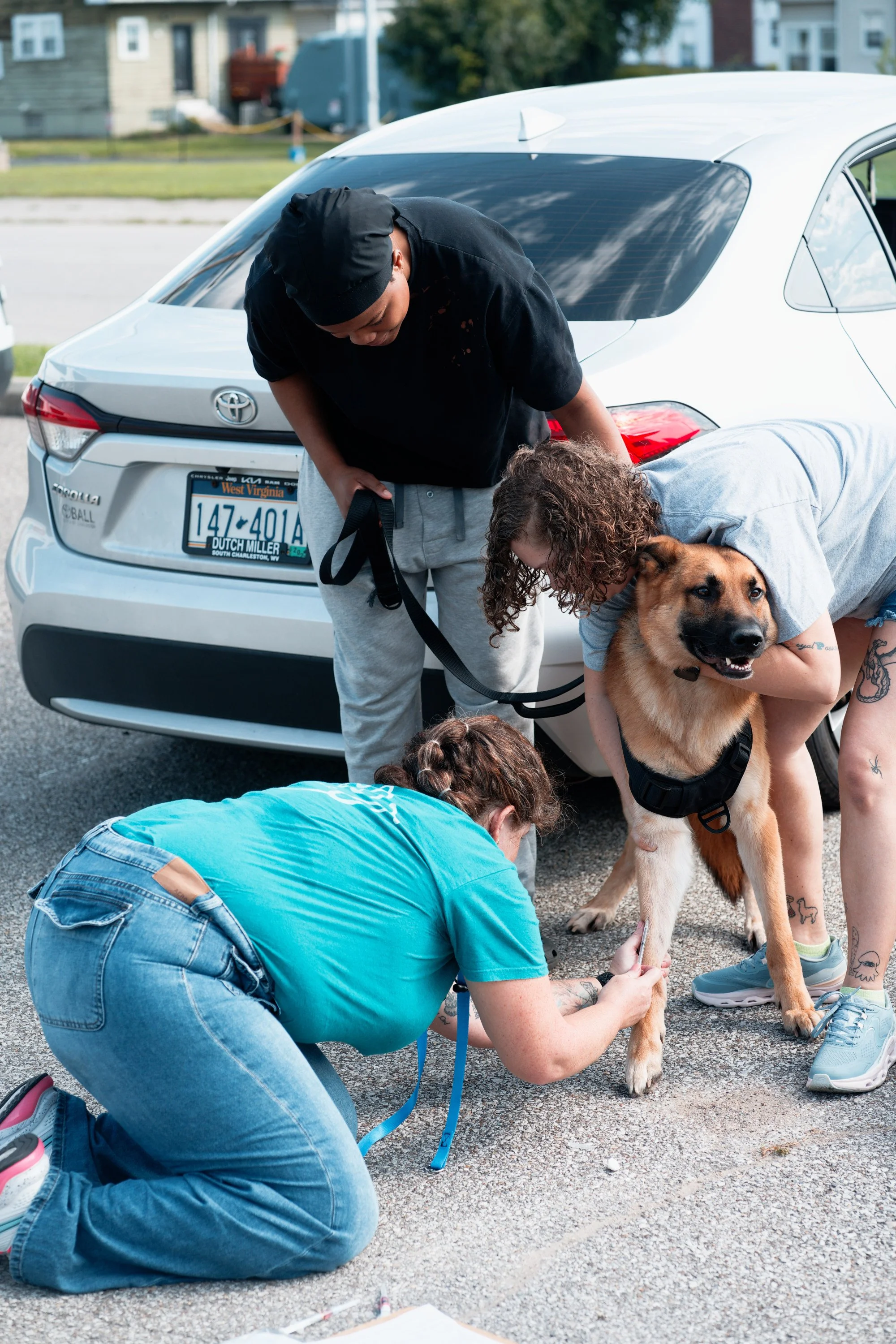 20260822StreetDogClinic_063_DxO.jpg