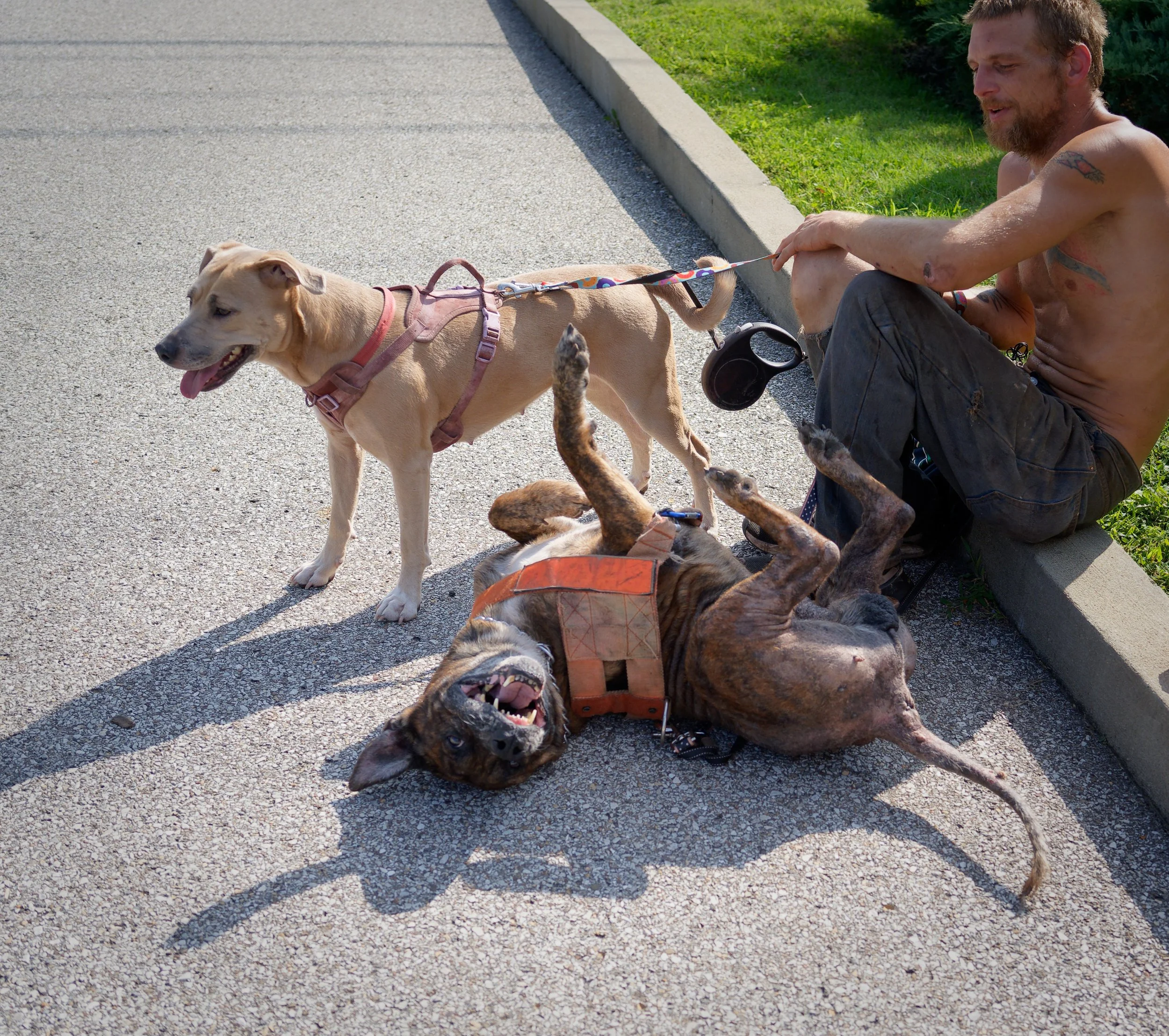 20260822StreetDogClinic_078_DxO.jpg