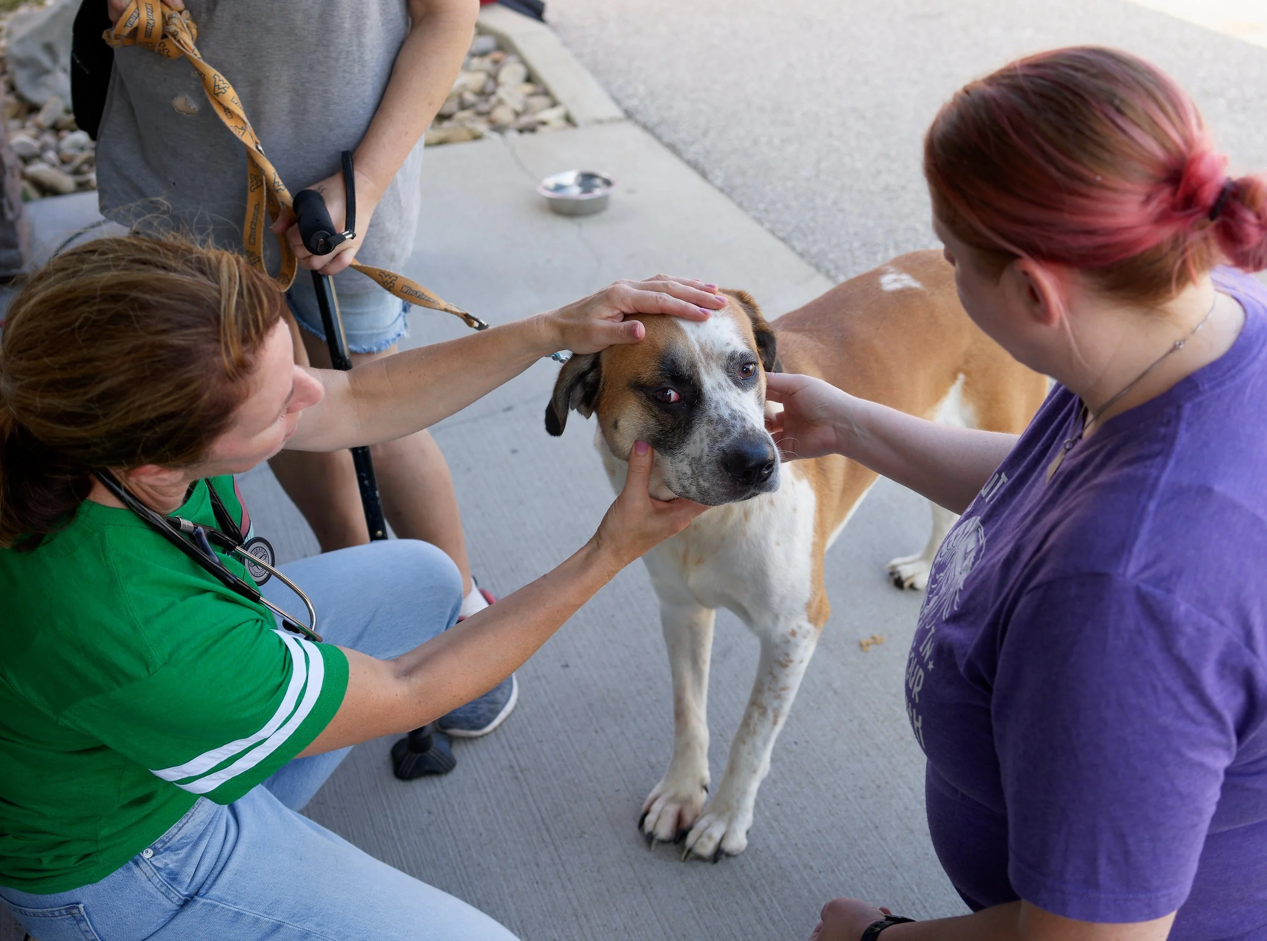 20260822StreetDogClinic_083_DxO.jpg