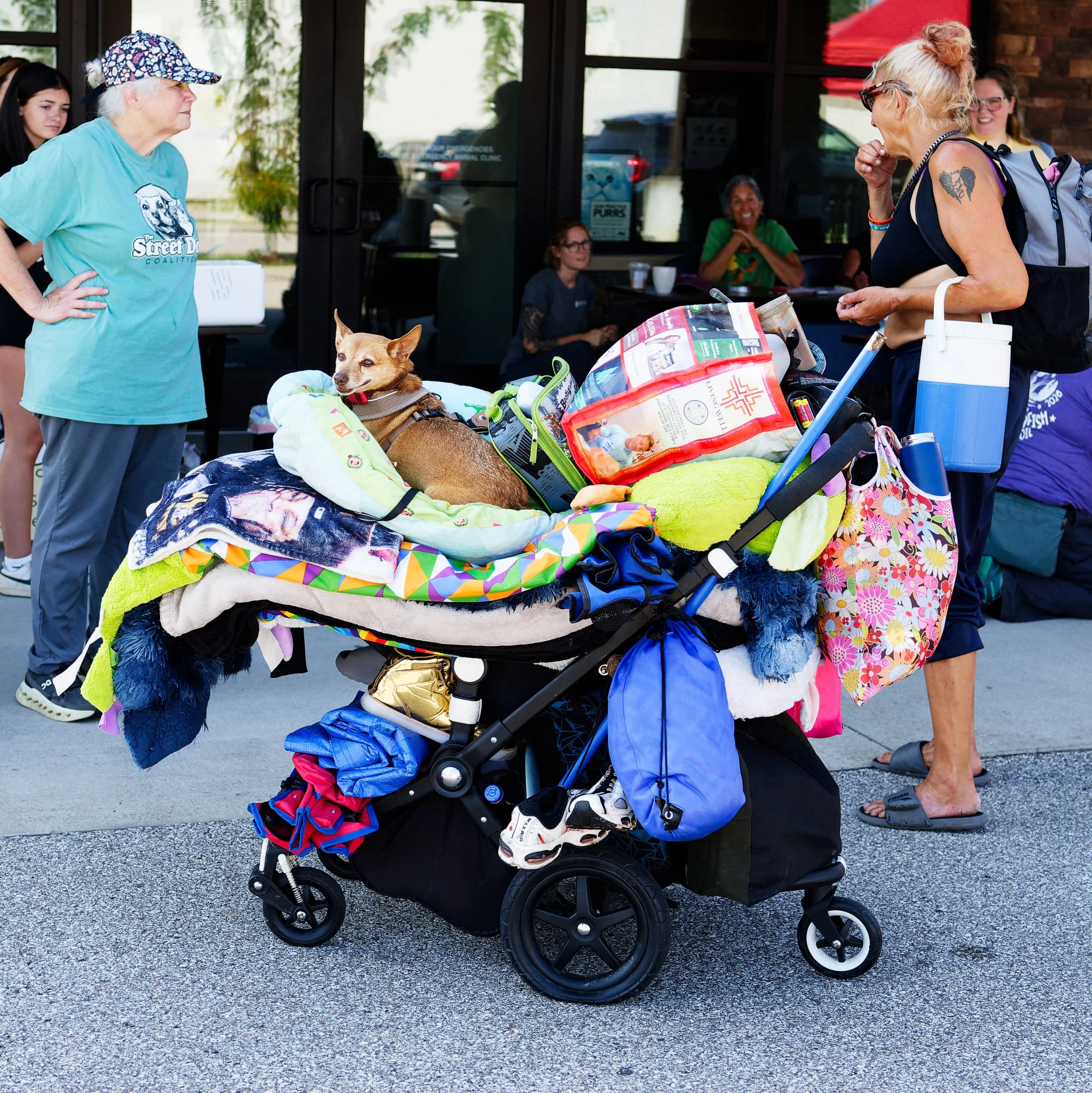 20260822StreetDogClinic_091_DxO.jpg