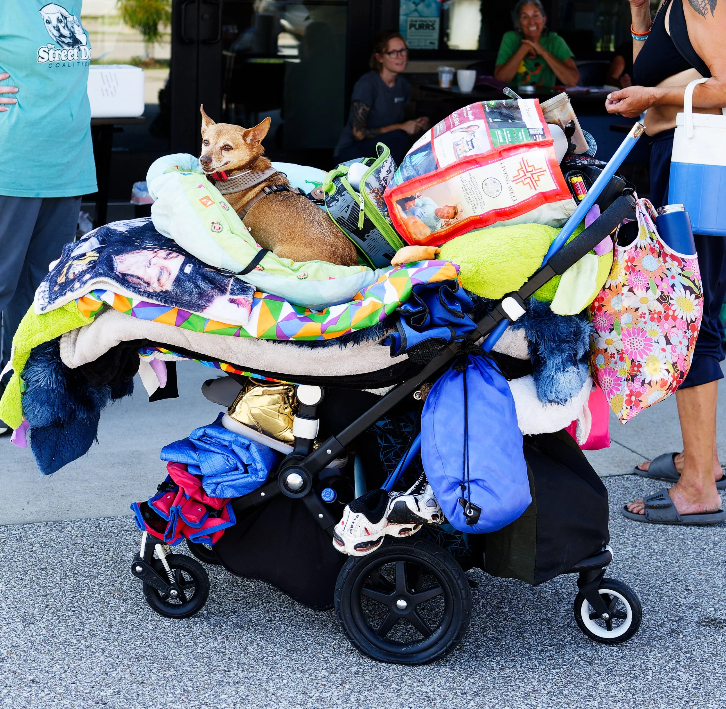 20260822StreetDogClinic_091_DxO_1.jpg