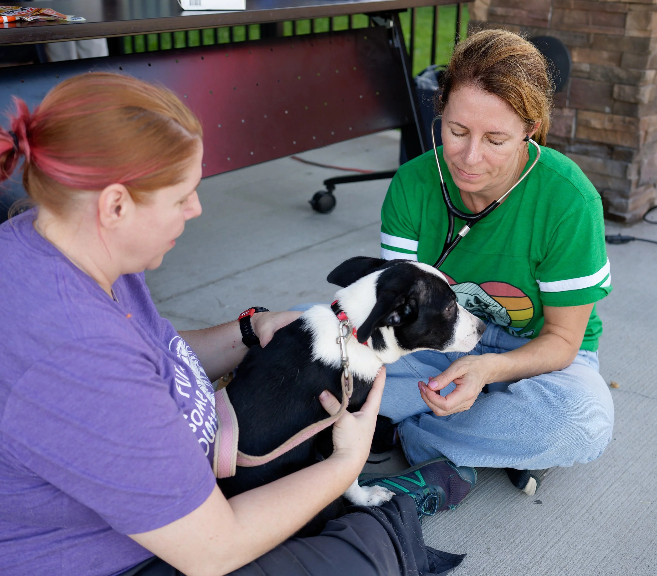20260822StreetDogClinic_093_DxO.jpg