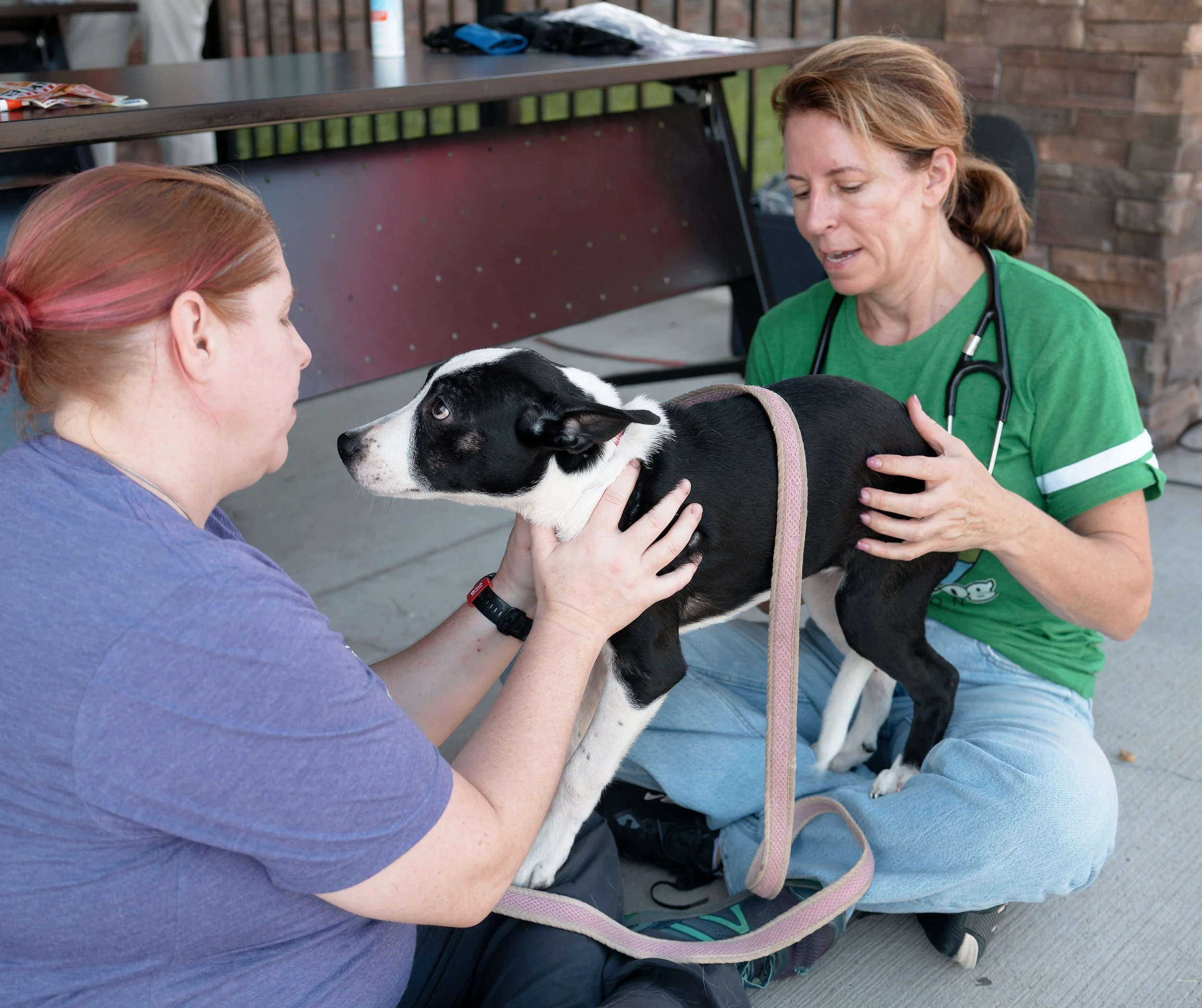 20260822StreetDogClinic_095_DxO.jpg