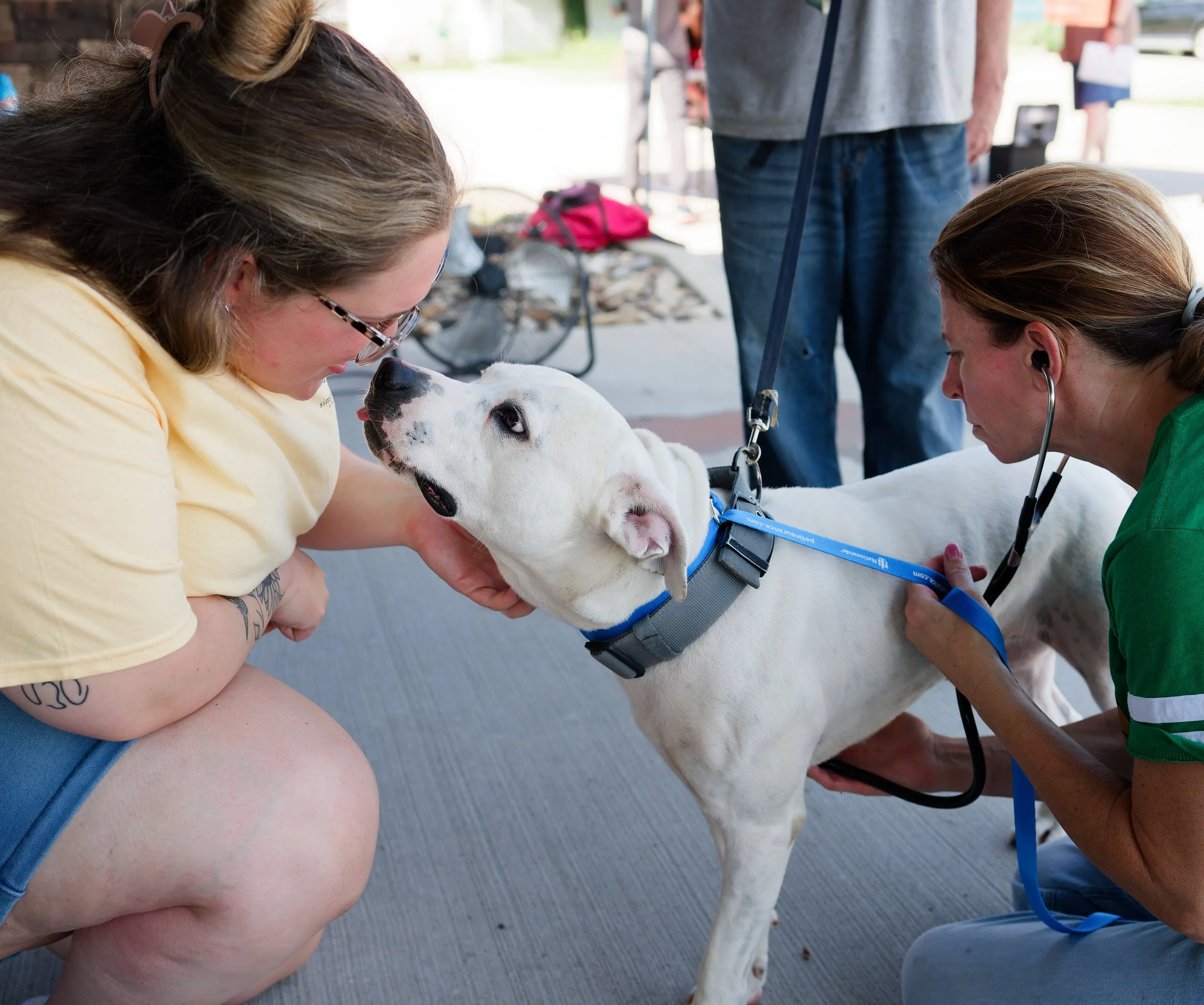20260822StreetDogClinic_124_DxO.jpg