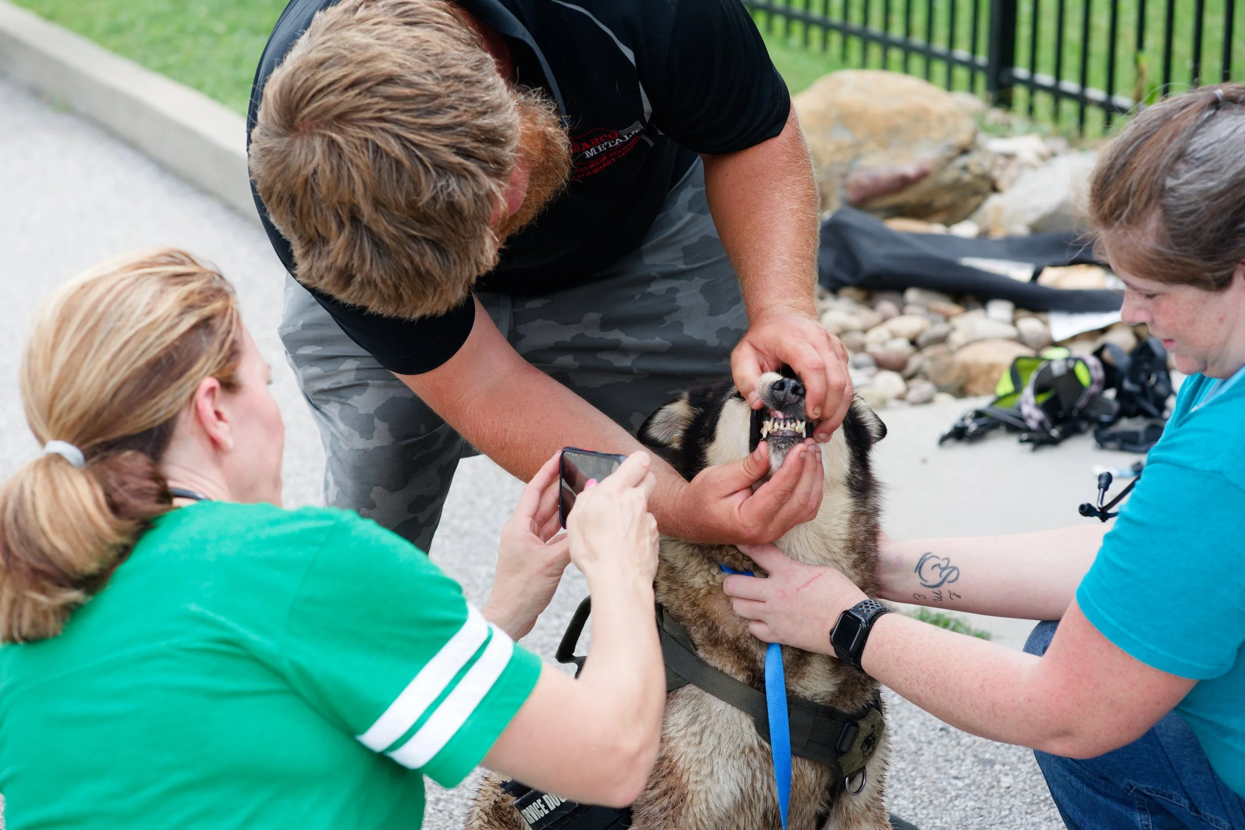 20260822StreetDogClinic_148_DxO.jpg