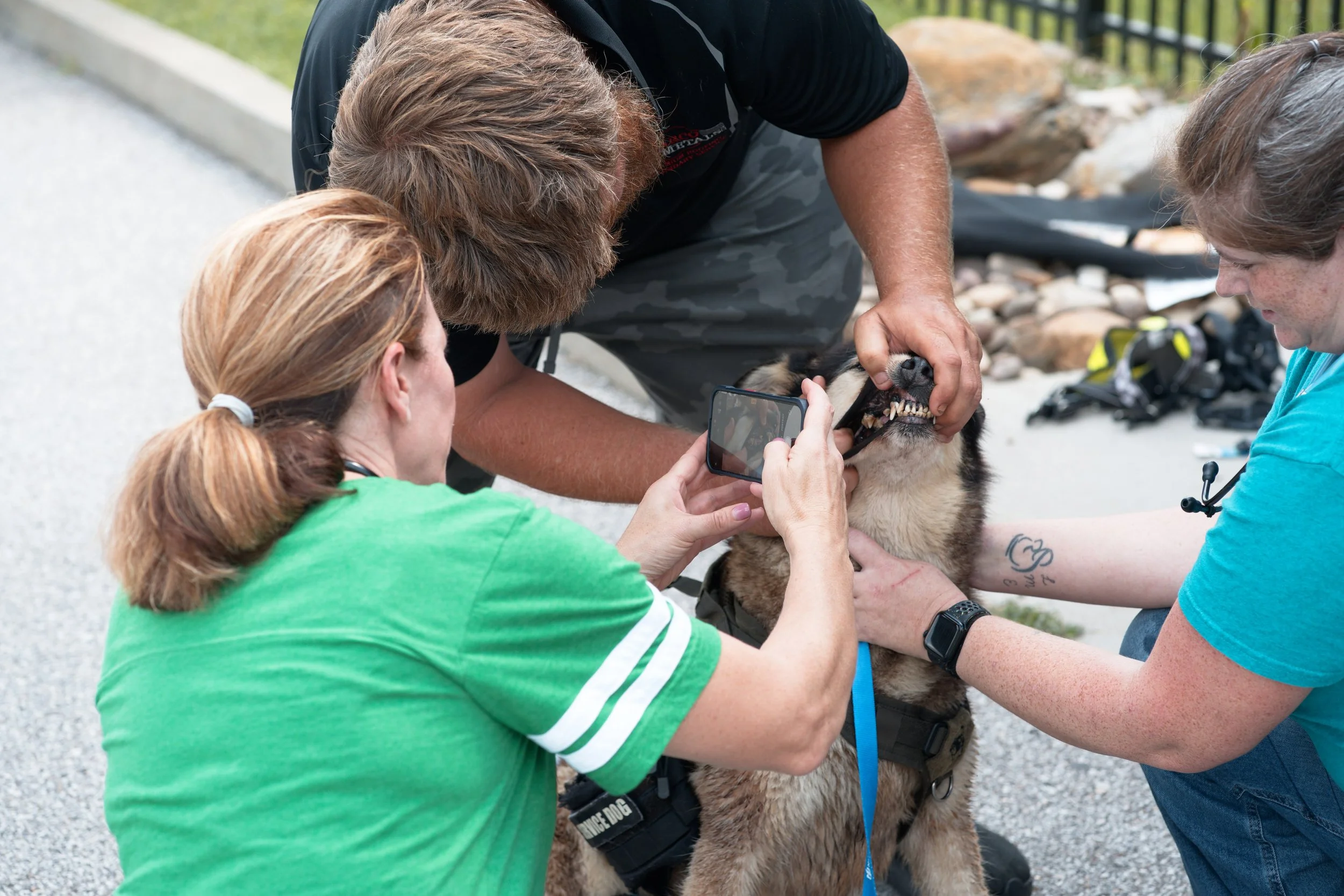 20260822StreetDogClinic_150_DxO (1).jpg