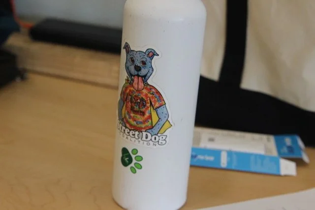 IMG_7269.jpeg