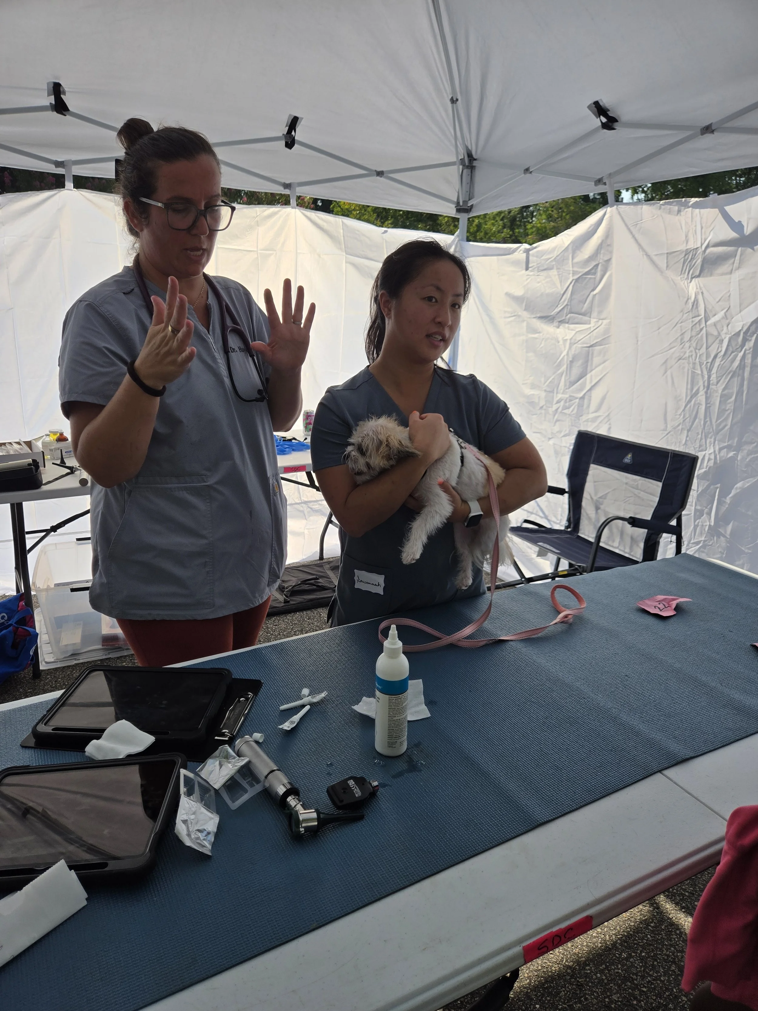 Sept clinic 5.jpg