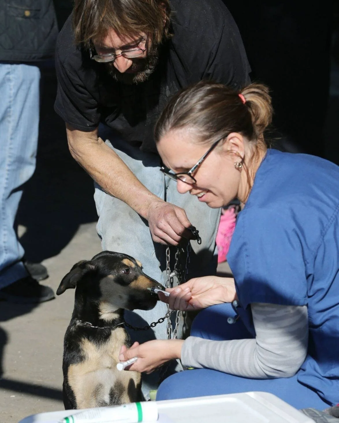 Bakersfield, CA — The Street Dog Coalition