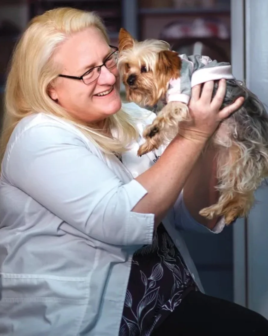 Sarasota, FL — The Street Dog Coalition