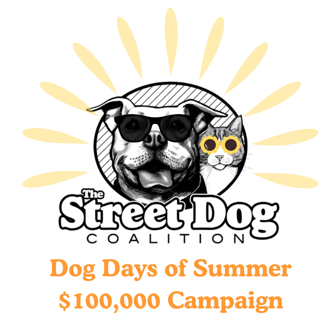The Street Dog Coalition