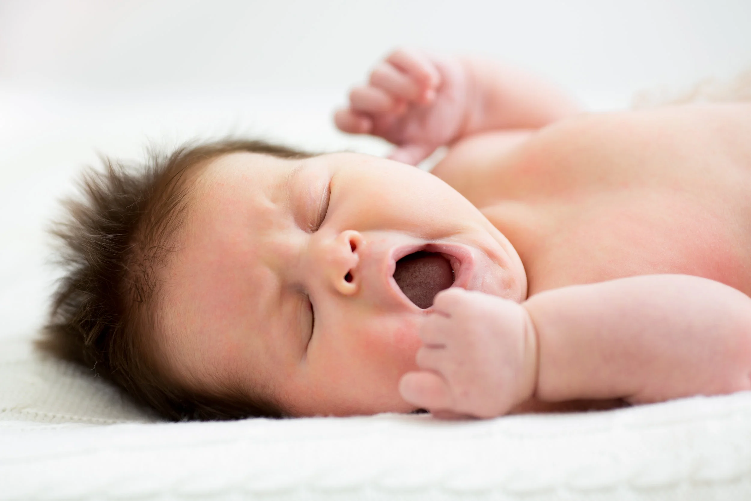AdobeStock_64575226.jpeg
