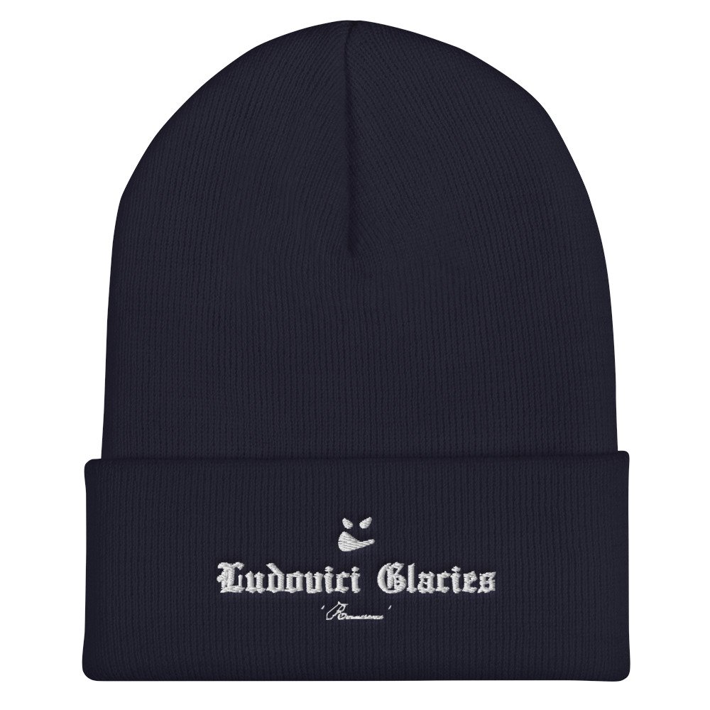 cuffed-beanie-navy-front-61fe8e546b0e8.jpg