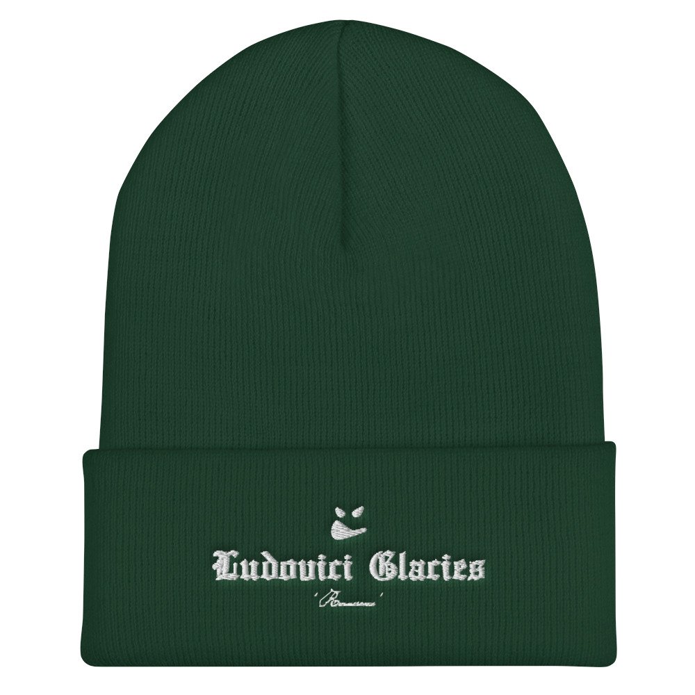 cuffed-beanie-spruce-front-61fe8e546b205.jpg